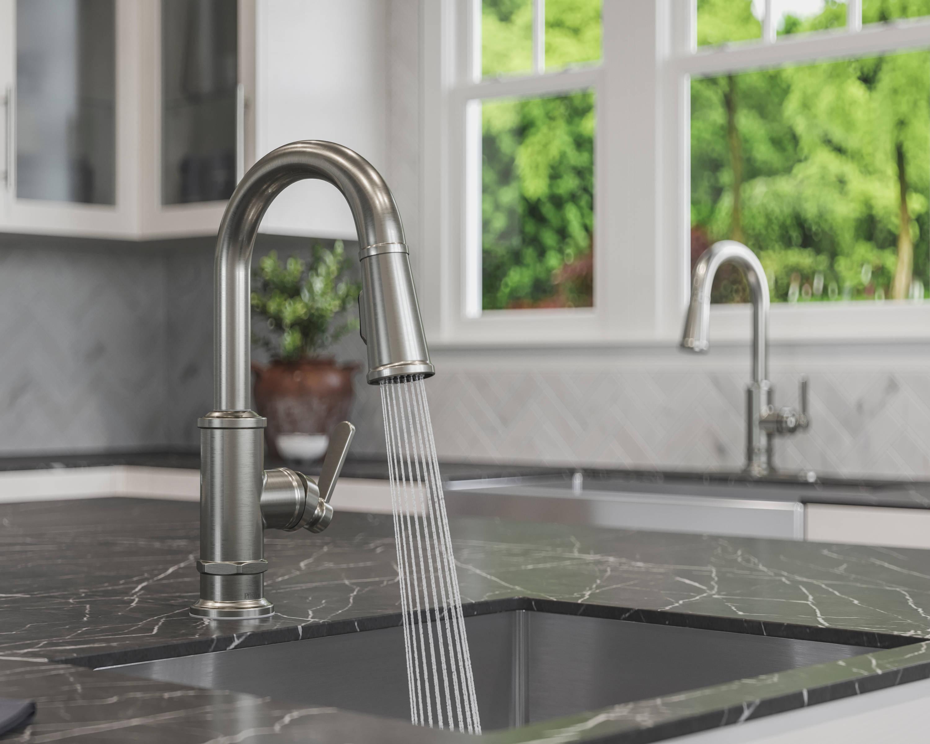 Pfister GT572-TDS Pull Down Bar Faucet