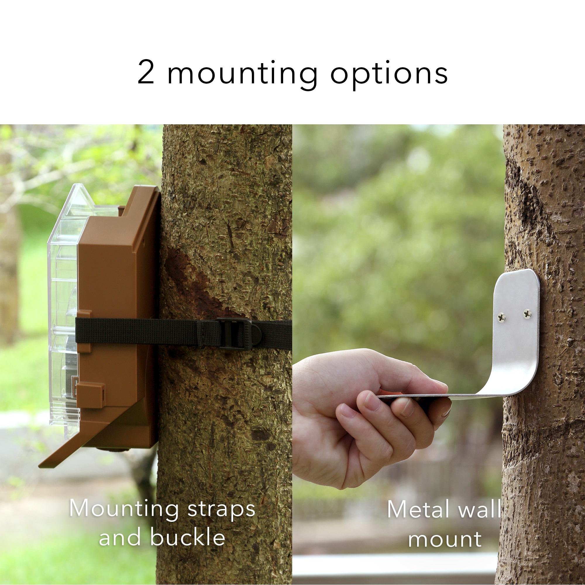 Wasserstein Bird Feeder Camera Case Compatible with Blink, Wyze, and Ring Cam - Bird Feeder for Bird Watching with Your Security Cam - (Camera NOT Included)