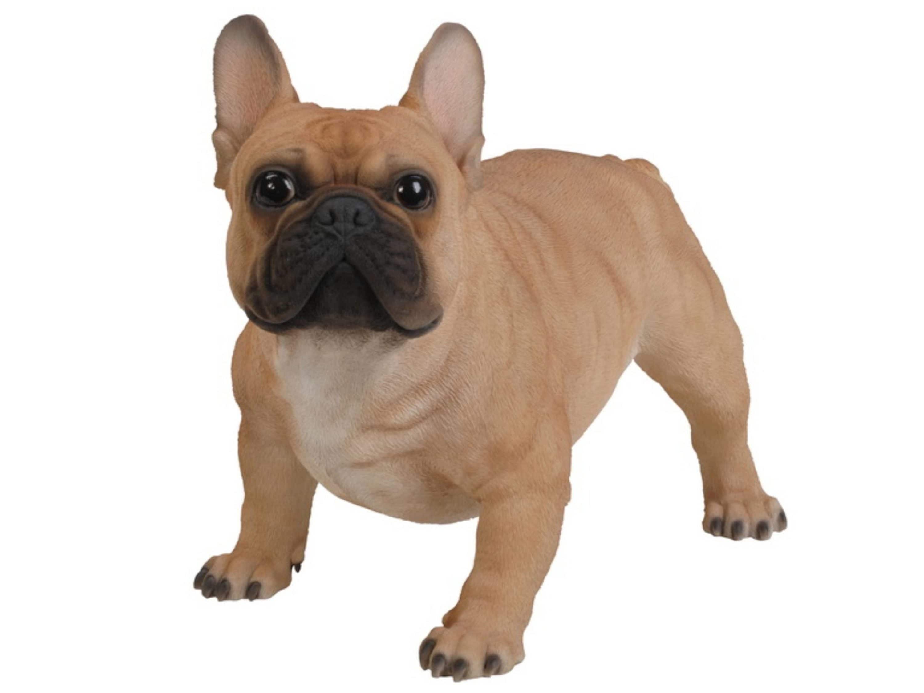 Hi-Line Gift Ltd. Dog French Bulldog Statue