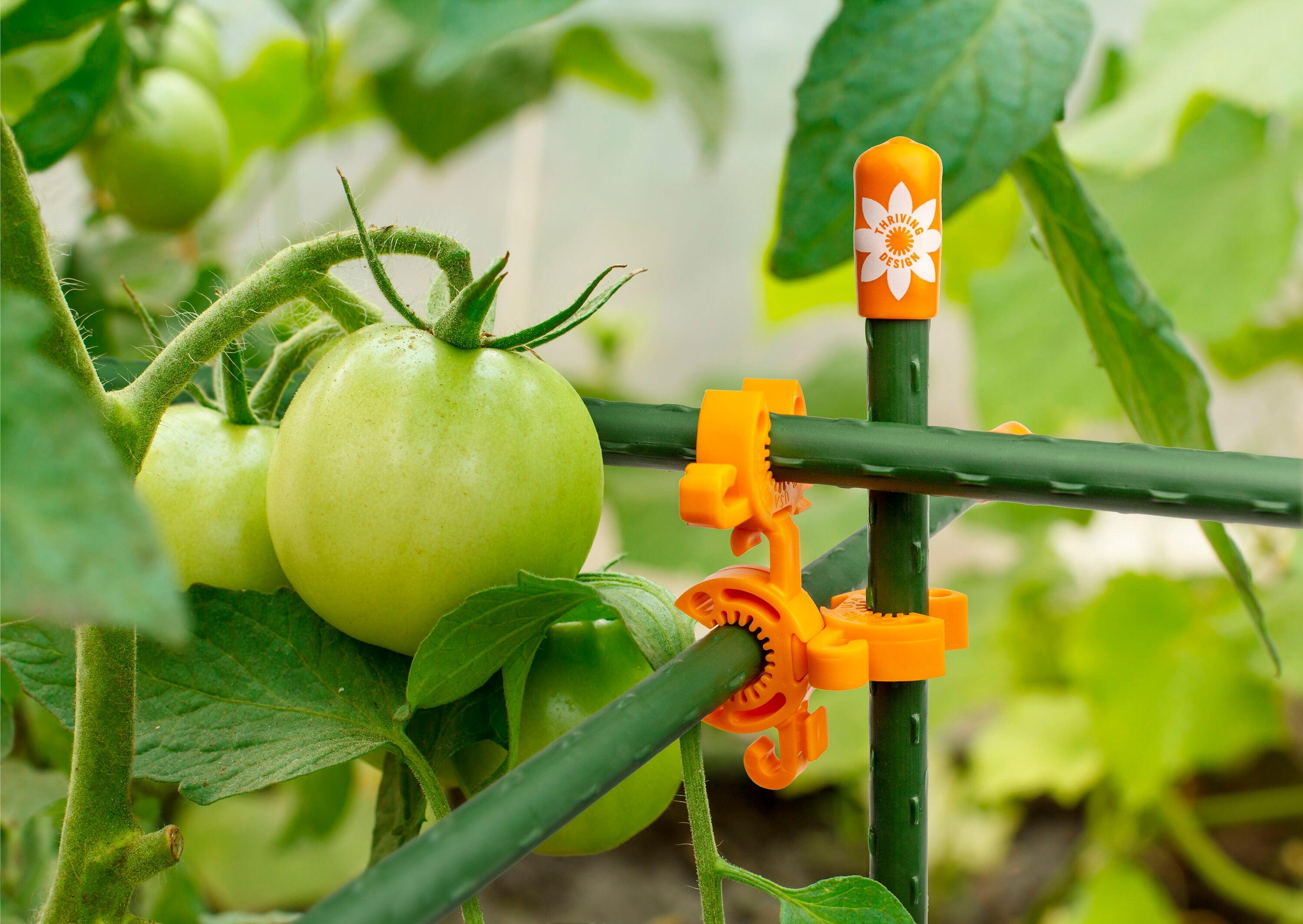 C-Bite 5-Foot Plant Support Kit | All You Need to Build A Cage, Trellis, Fence (Incognito Green)