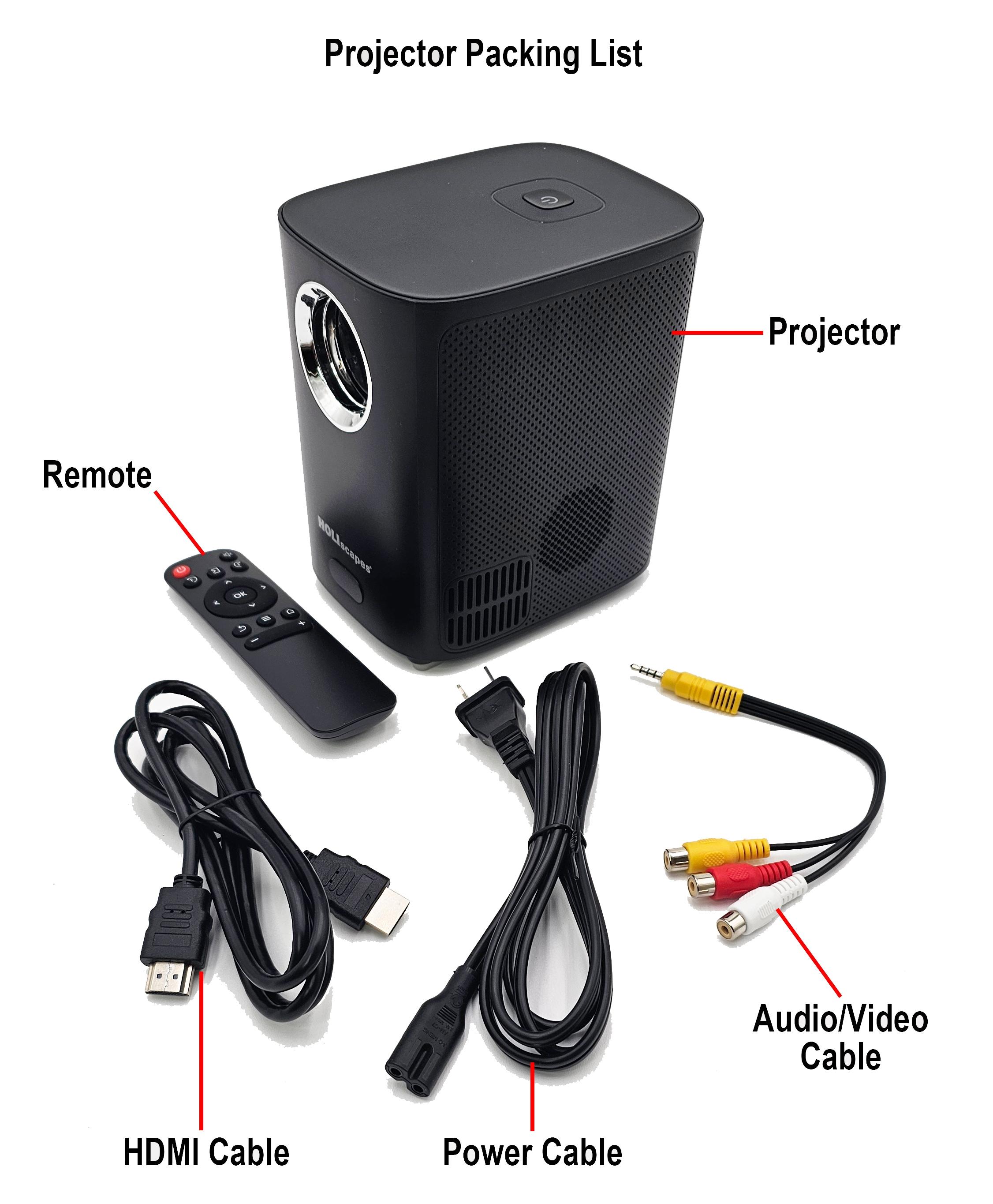 HoliScapes® USB Projector Kit - AtmosFX Jack-O-Lantern Jamboree USB + Projector + 48" x 72" Large White Holographic Screen