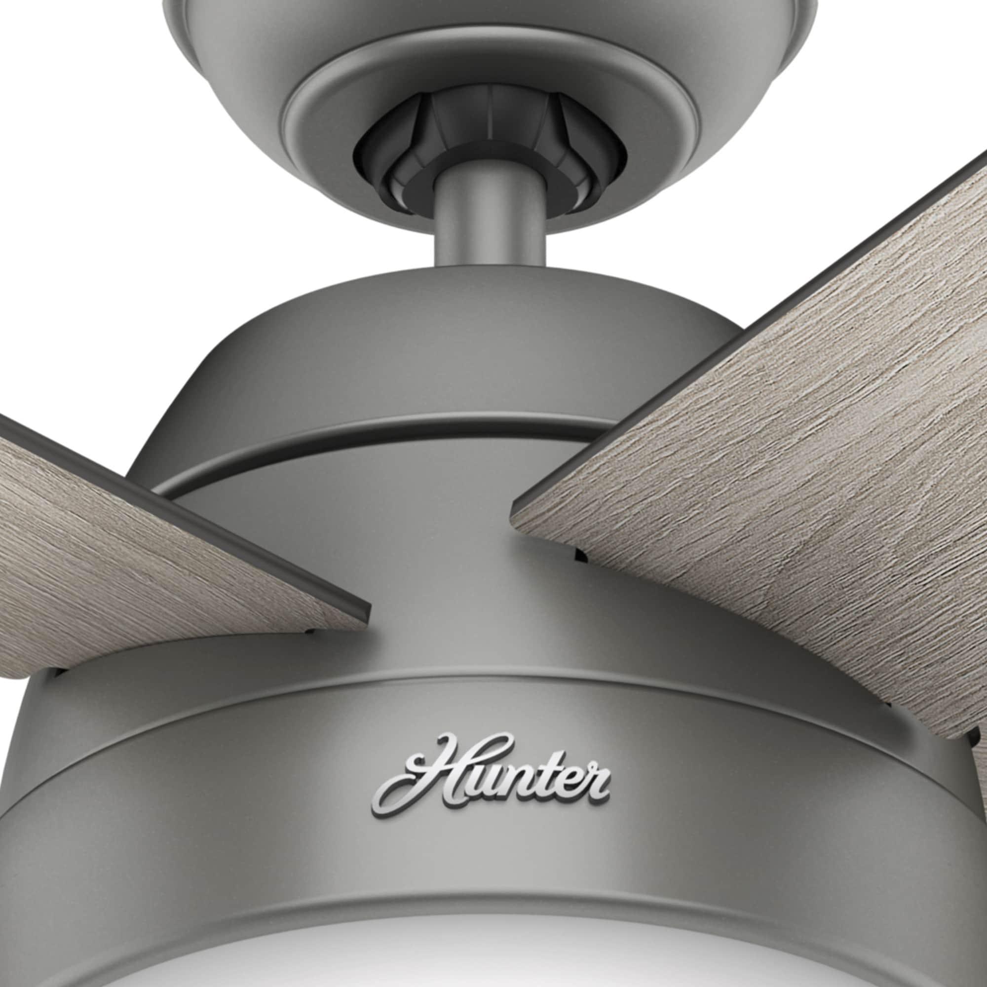 Hunter Fan 46" Anslee Standard Ceiling Fan with Pull Chain and Light Kit Included