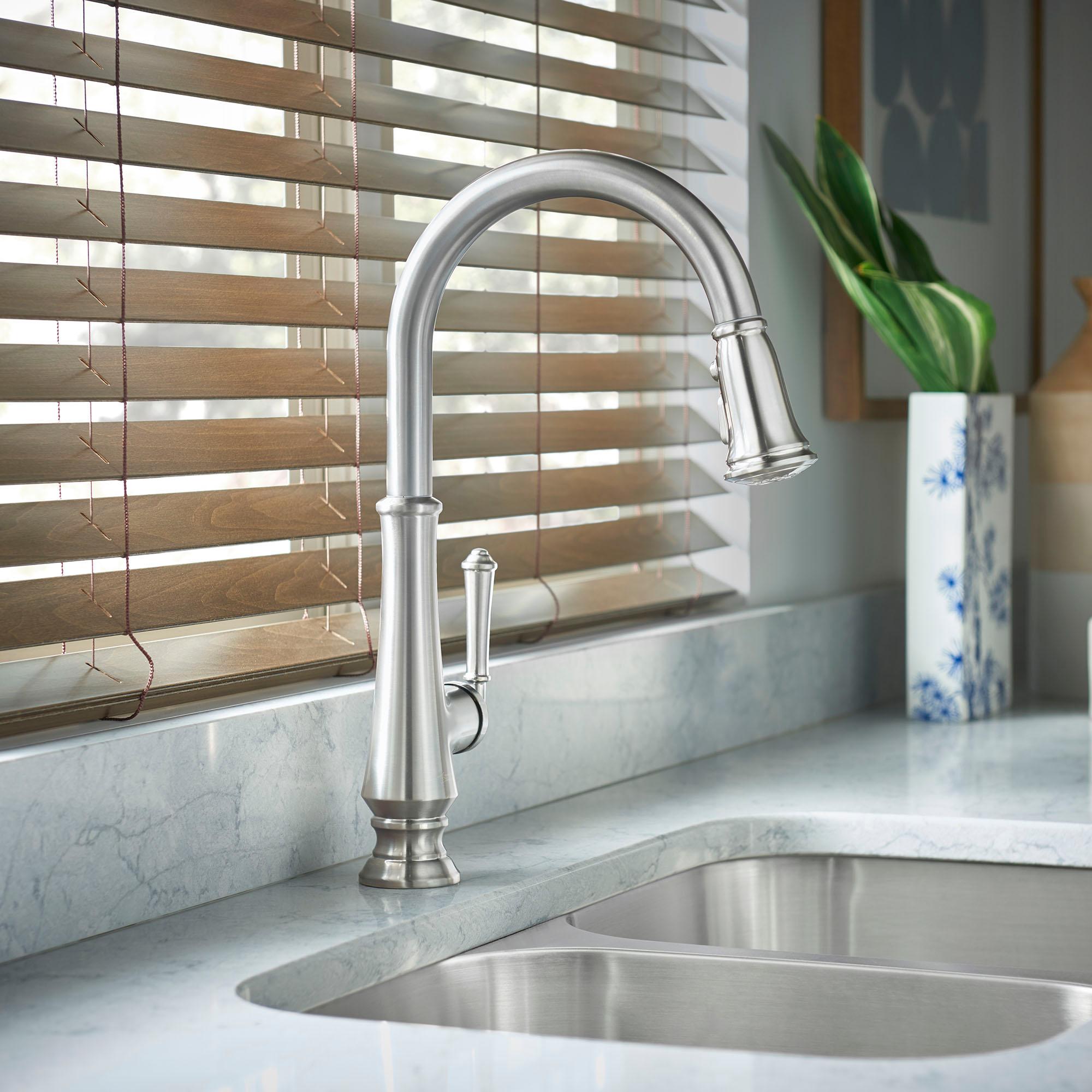 Delancey Pull Down Single Handle Kitchen Faucet With Accessories