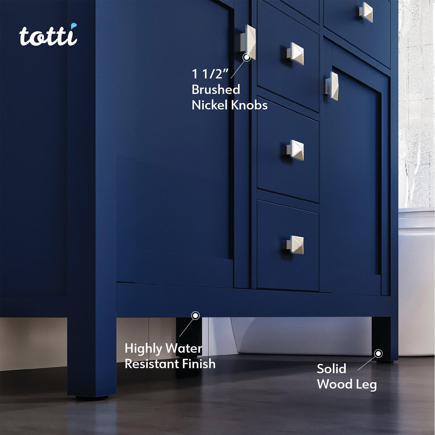 Totti Artemis 48" Blue Transitional Double Sink Bathroom Vanity w/ White Carrara Style Man-Made Stone Top