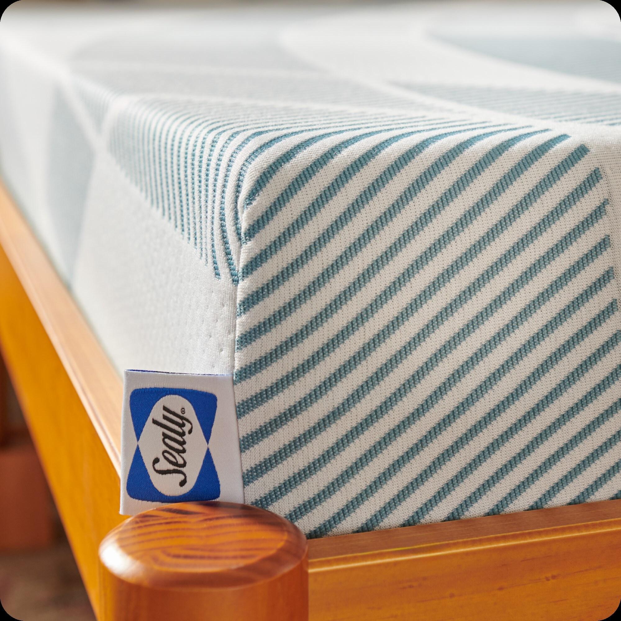 Sealy Sealy Dreamlife 8” Medium-Firm Foam Mattress-in-a-Box