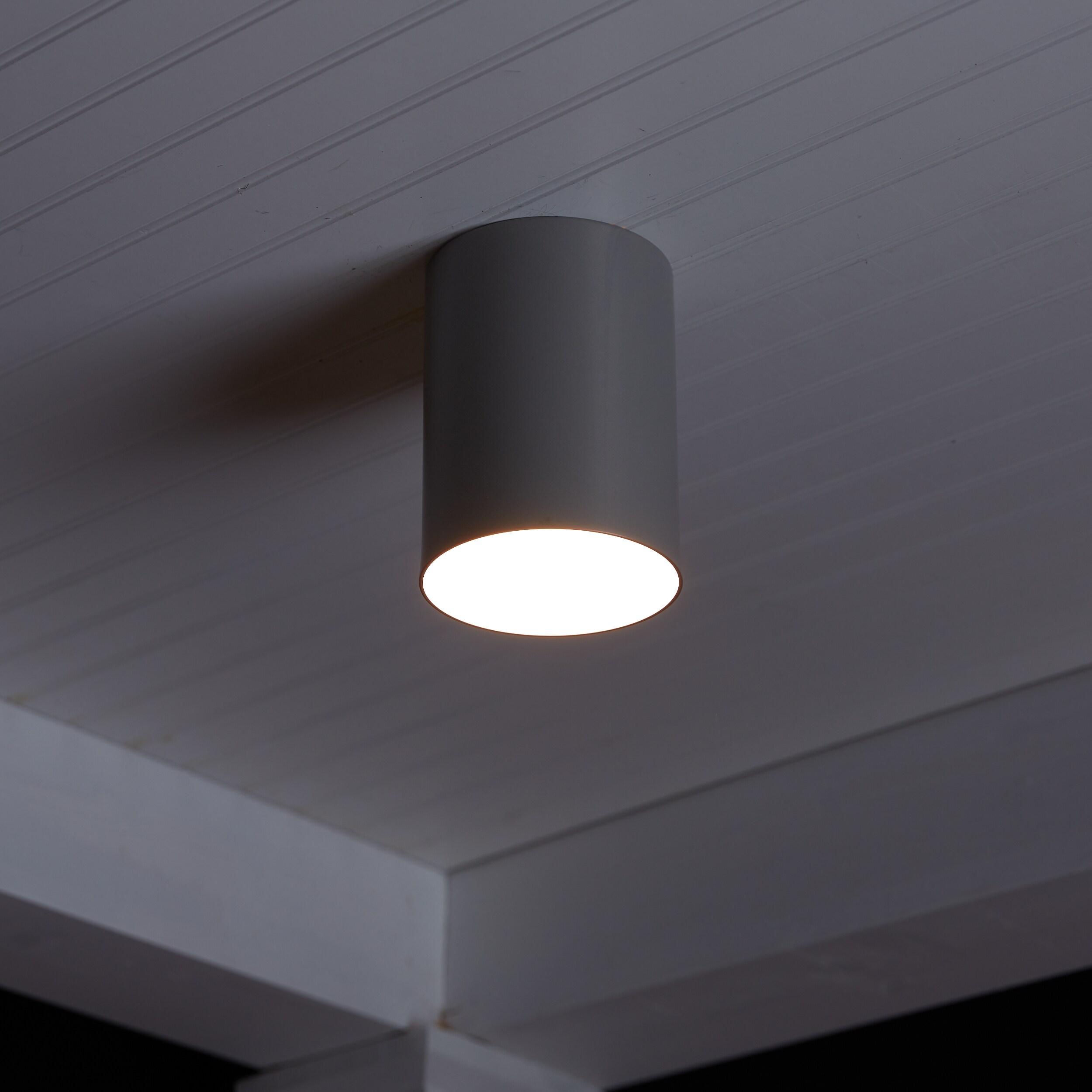 Transitional Small Outdoor LED Flush Mount in Painted Brushed Nickel