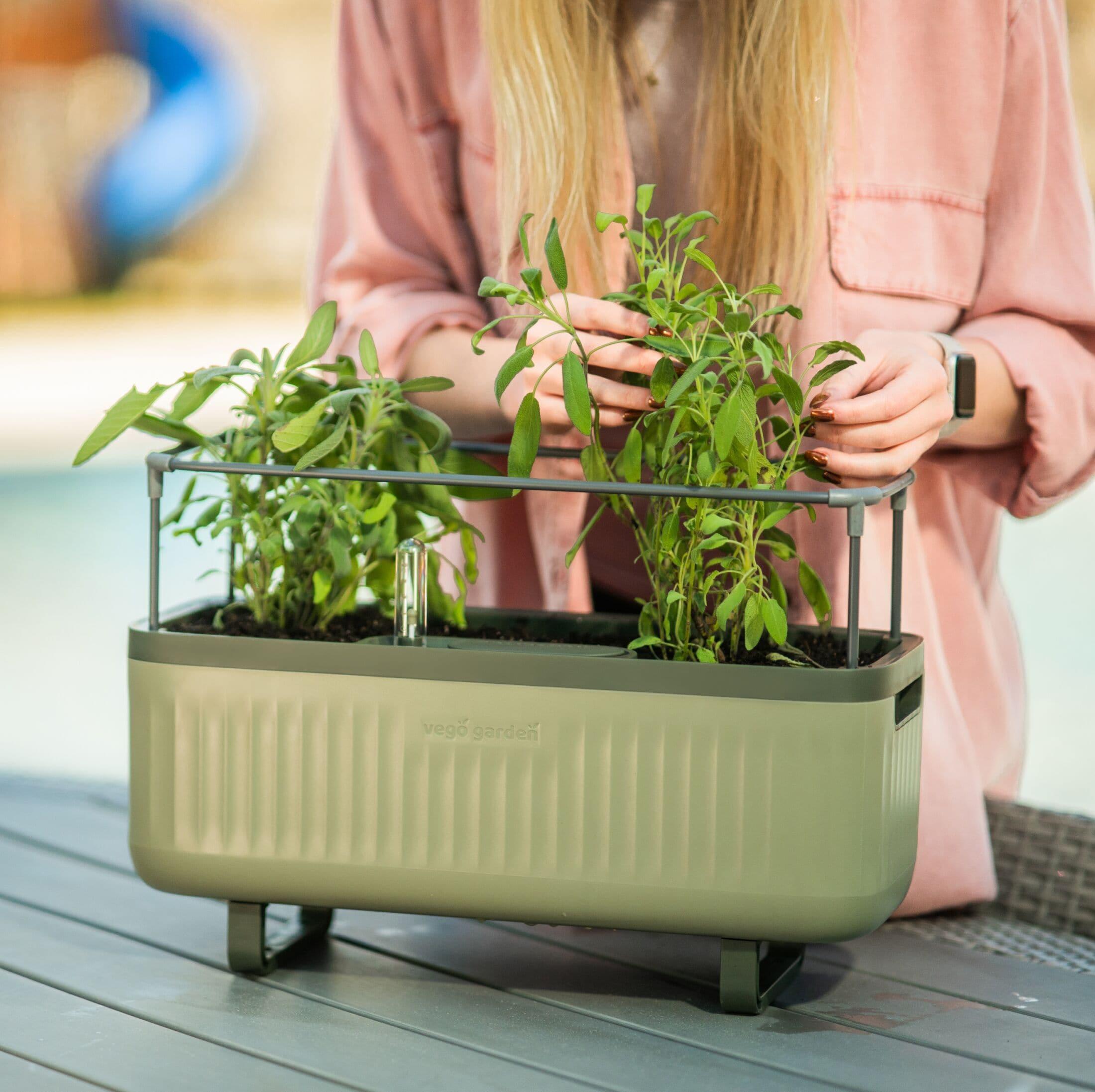 Vego Garden Mini Herb Plastic Outdoor Pot Planter with Trellis