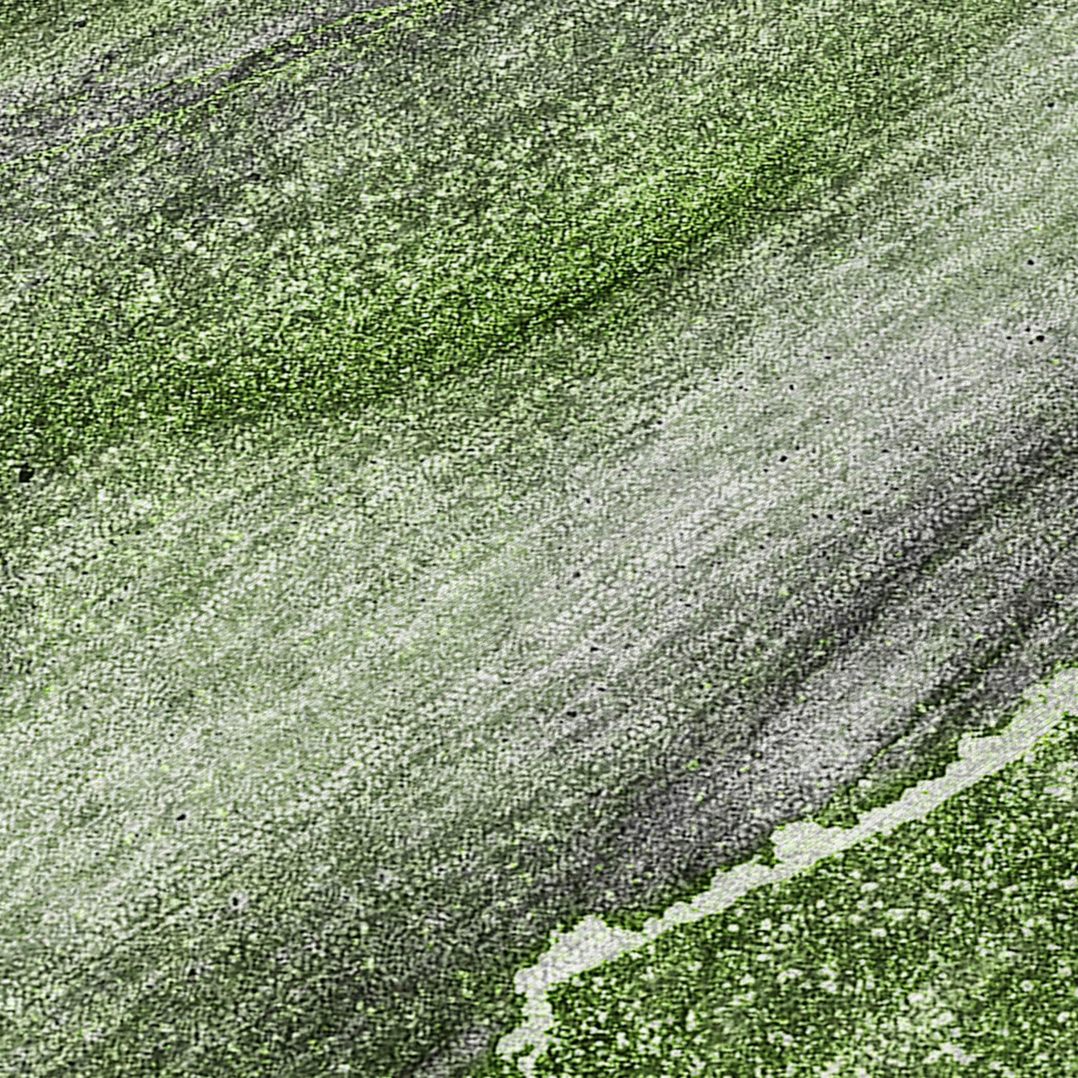 Olive Green Synthetic Flat Woven 8' x 10' Area Rug