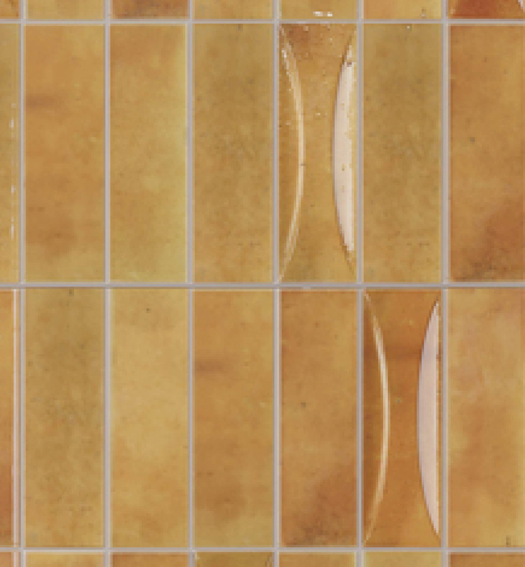 2.58'' W x 7.9'' L Ceramic Subway Singular Tile