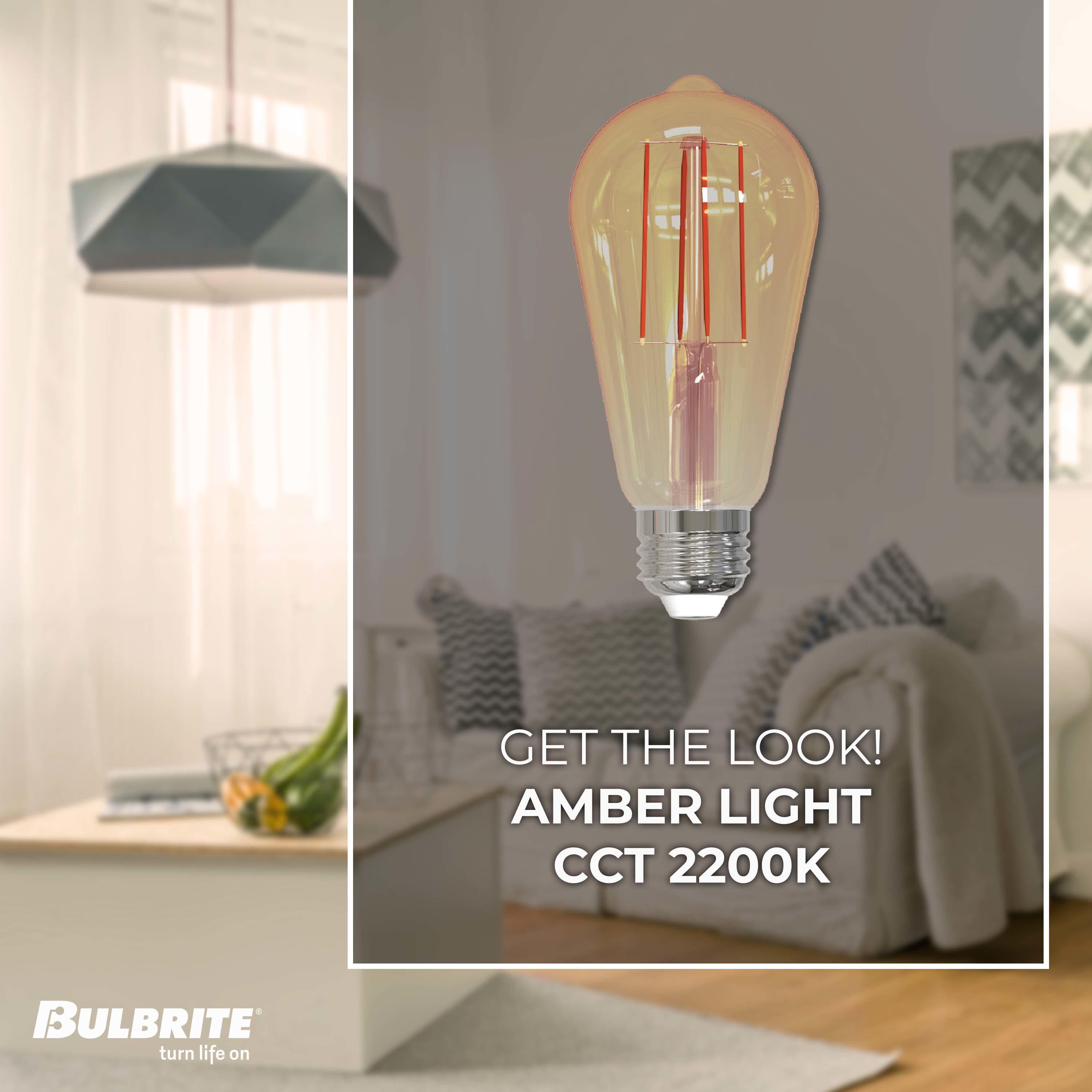 Bulbrite Industries 861410 60 Watt Equivalent, ST18 LED, Antique Dimmable Light Bulb, (2200K) E26/Medium (Standard) Base (Set of 2)