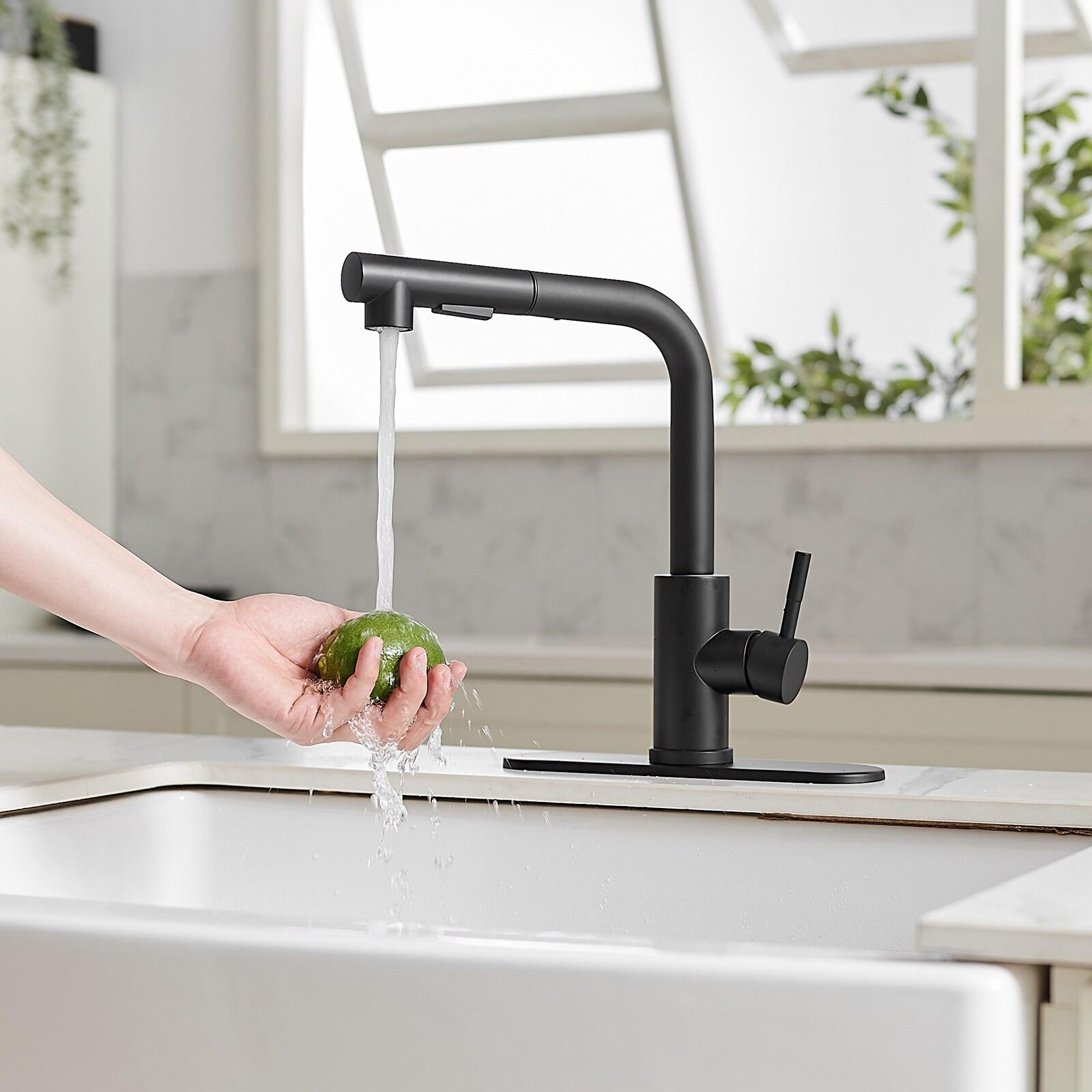 VIBRANTBATH Pull Out Kitchen Faucet