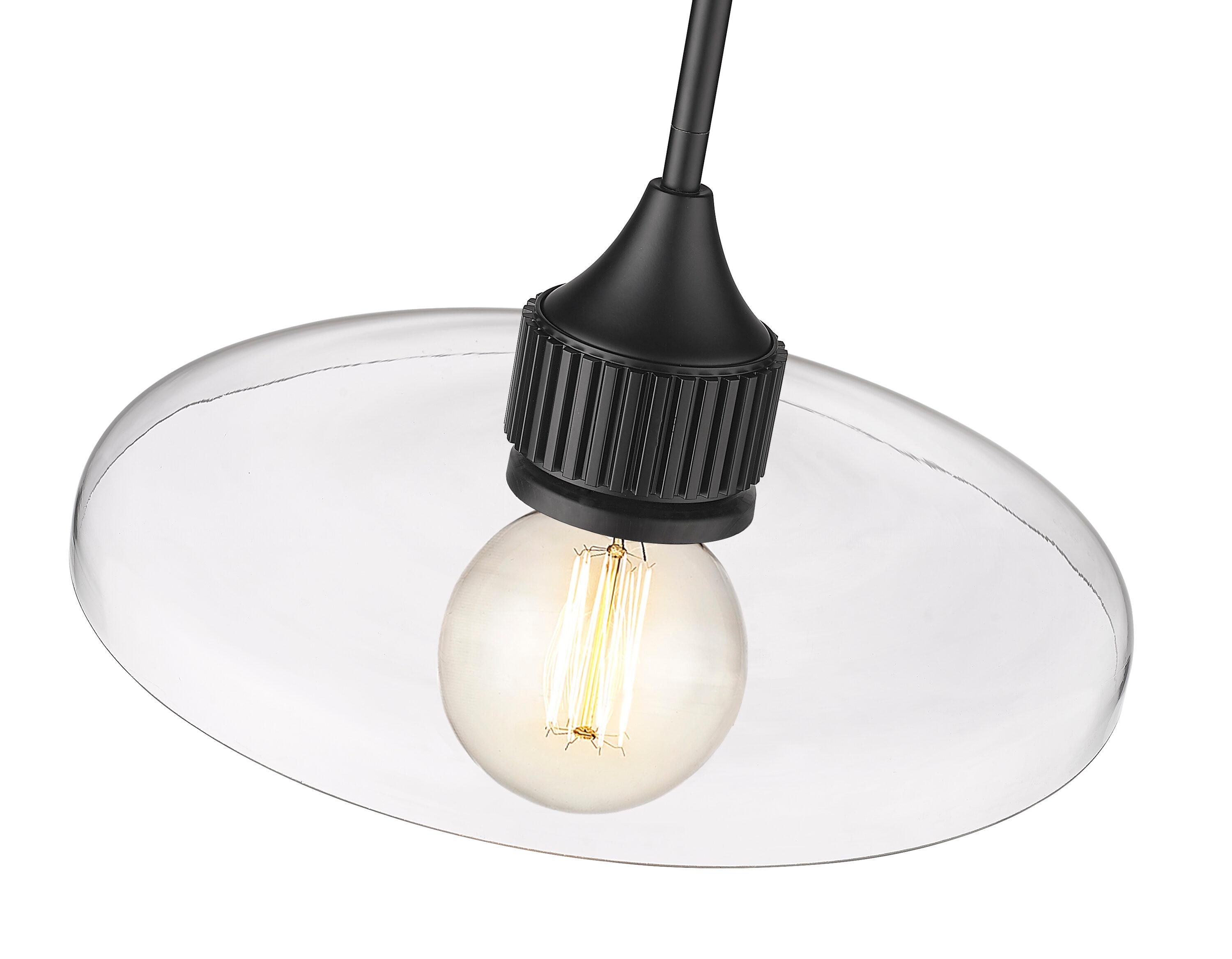 Z-Lite Paloma 1 - Light Pendant in  Matte Black