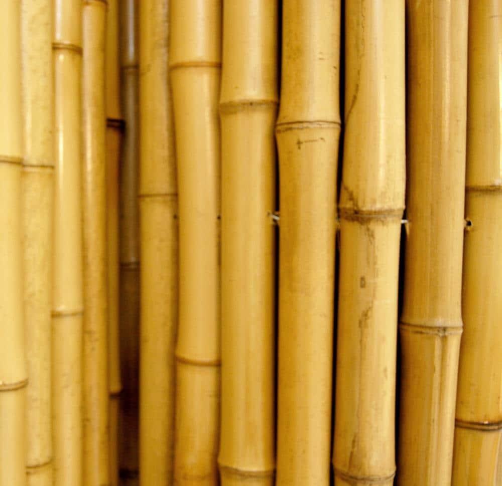 Backyard X-Scapes Natural Bamboo Fencing Decorative No Dig Fence Panels 3/4" D