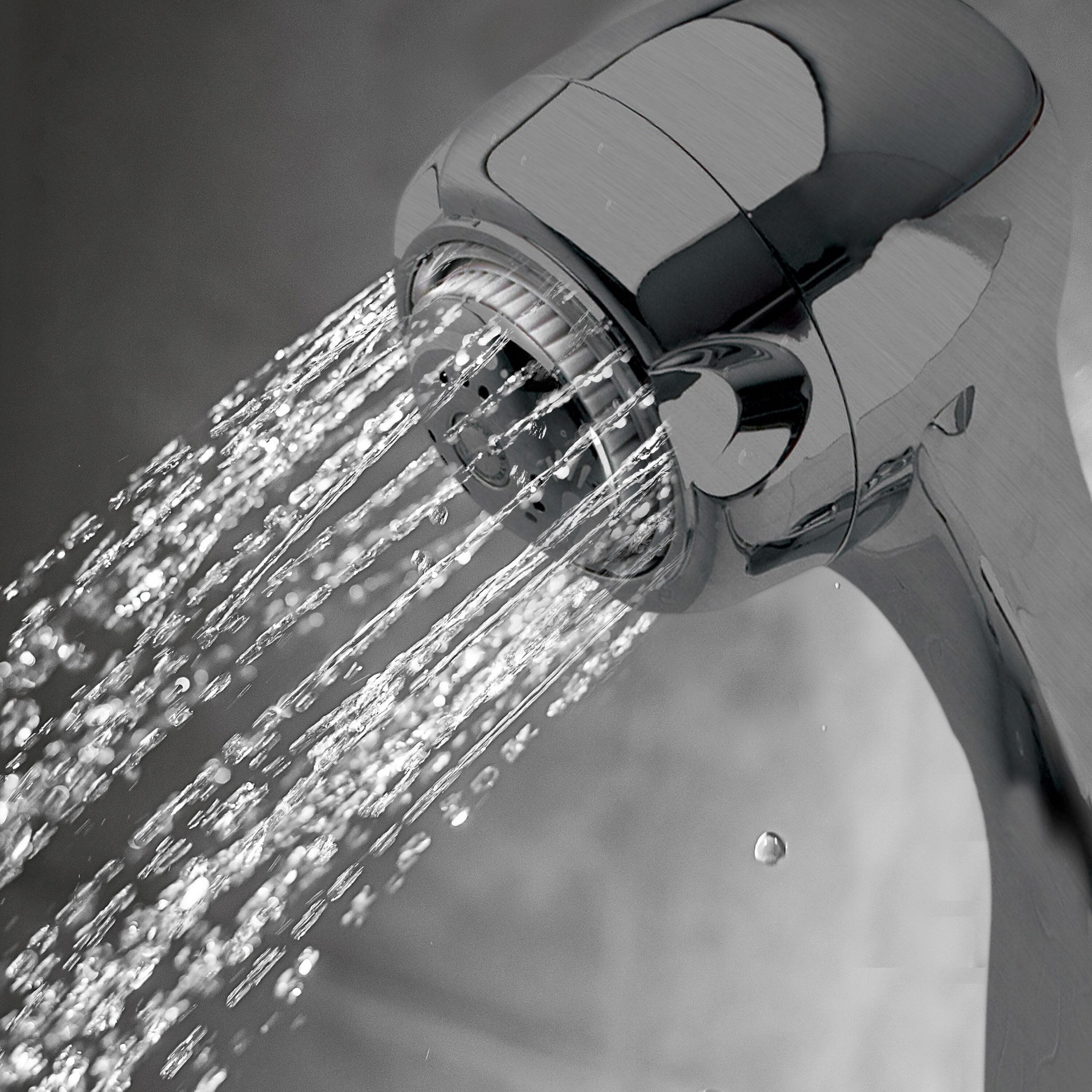 Handheld Shower Head 1.5 GPM GPM with Self-Cleaning
