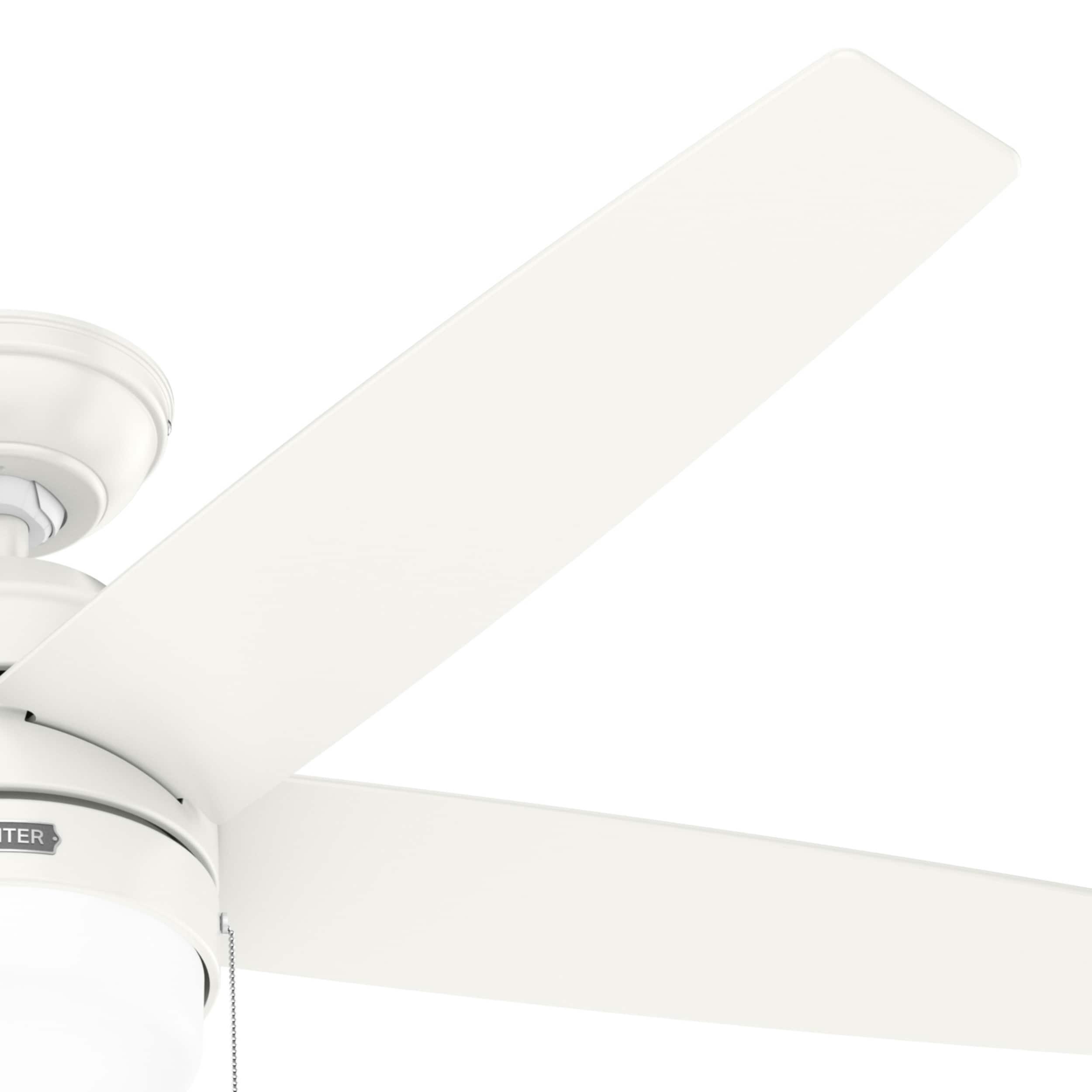 Bardot 52" 5 - Blade Ceiling Fan With Lights and Pull Chains