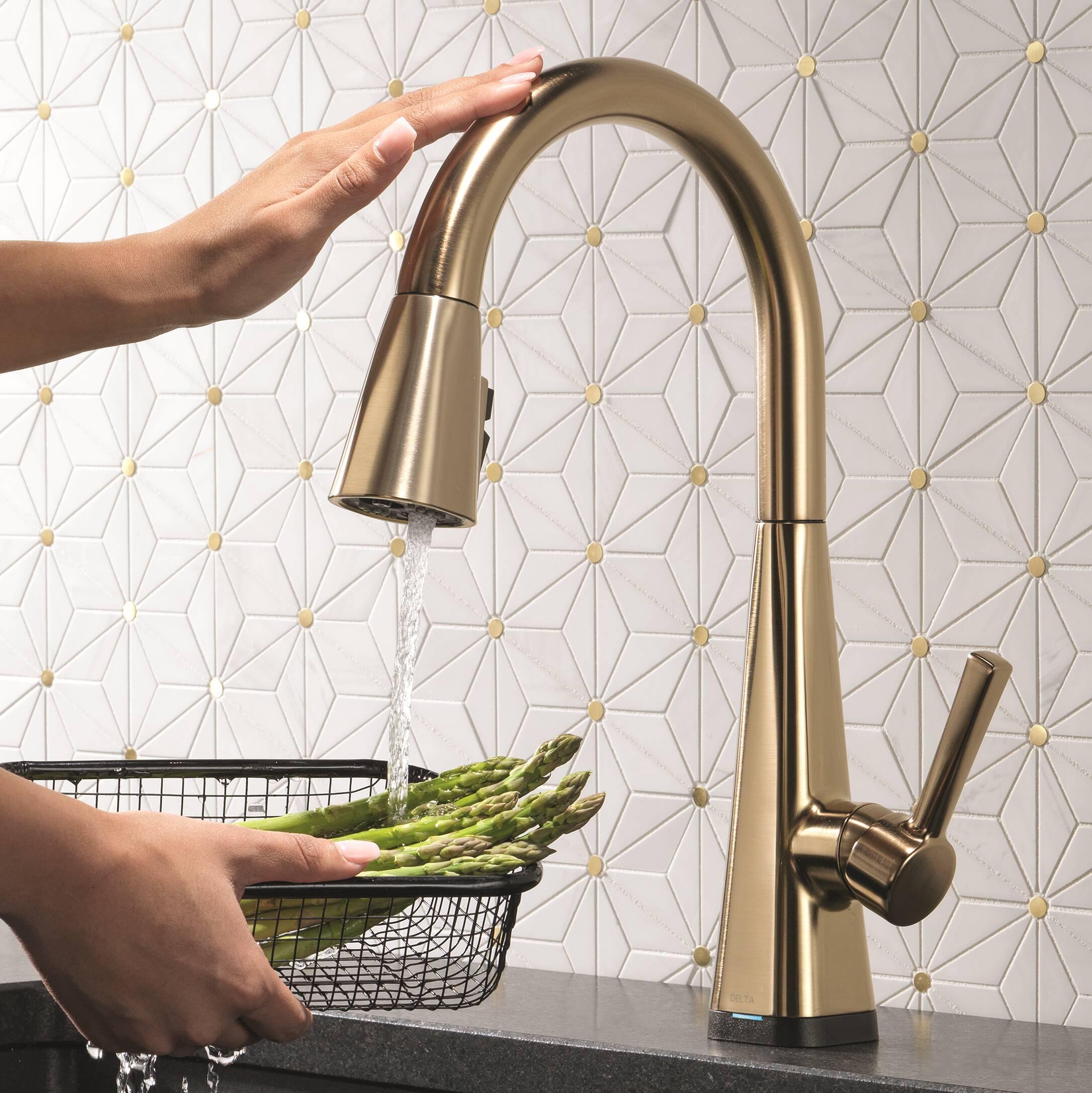 Boyd Pull Down Sprayer Kitchen Sink Faucet with Matching Soap Dispenser