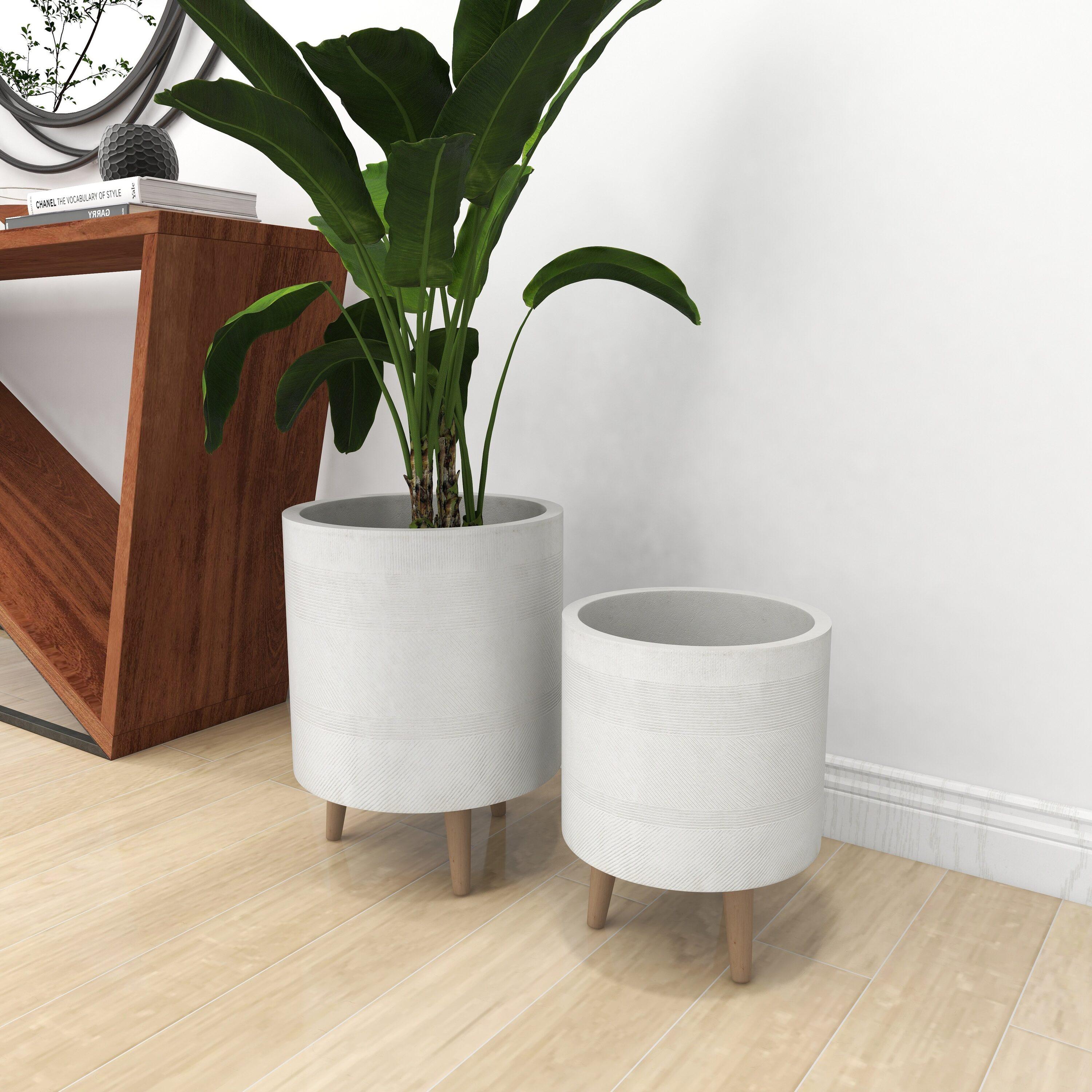 Set of 2 Cylindrical Fiberclay Planters - Olivia & May