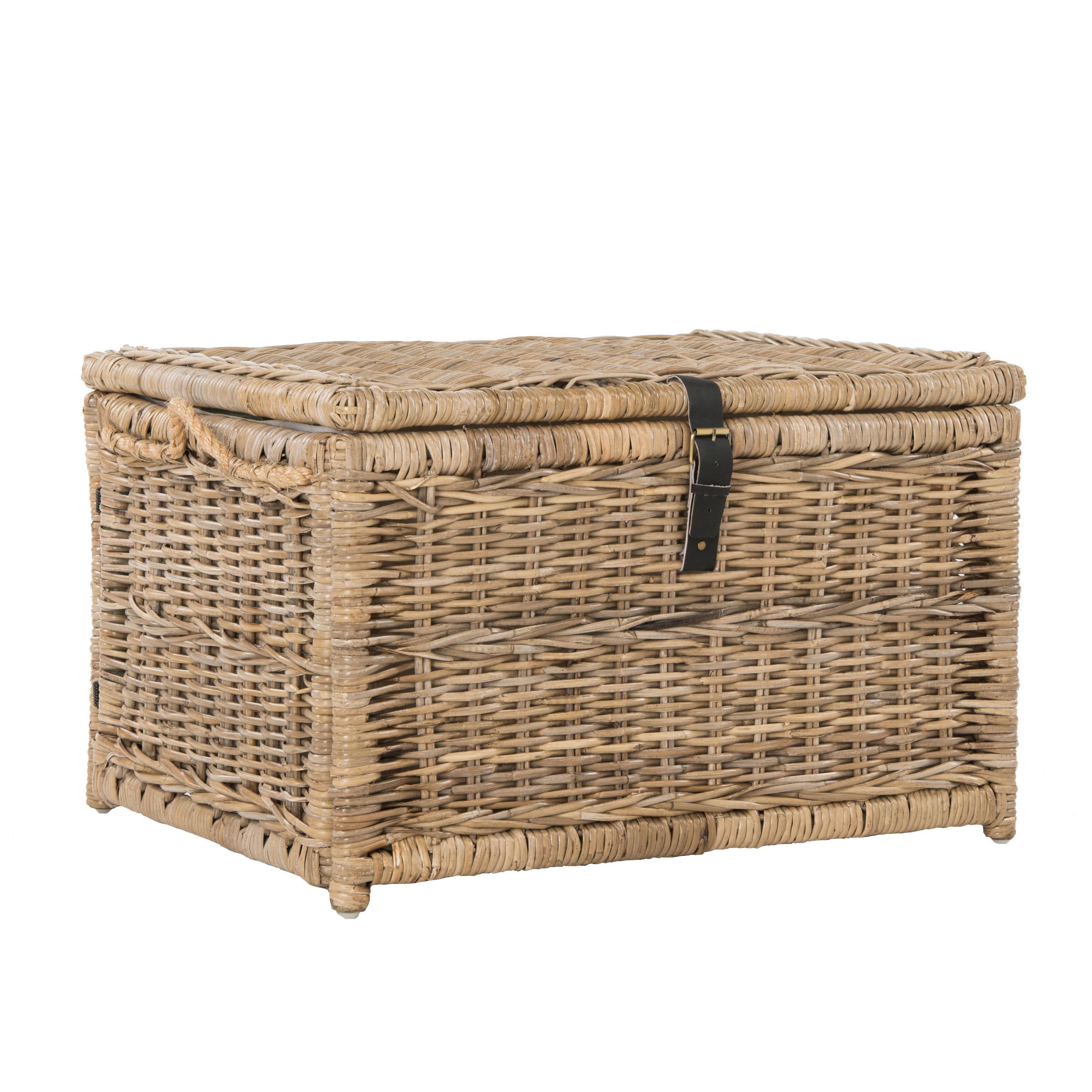 happimess Caden 30" Wicker Storage Trunk, Natural