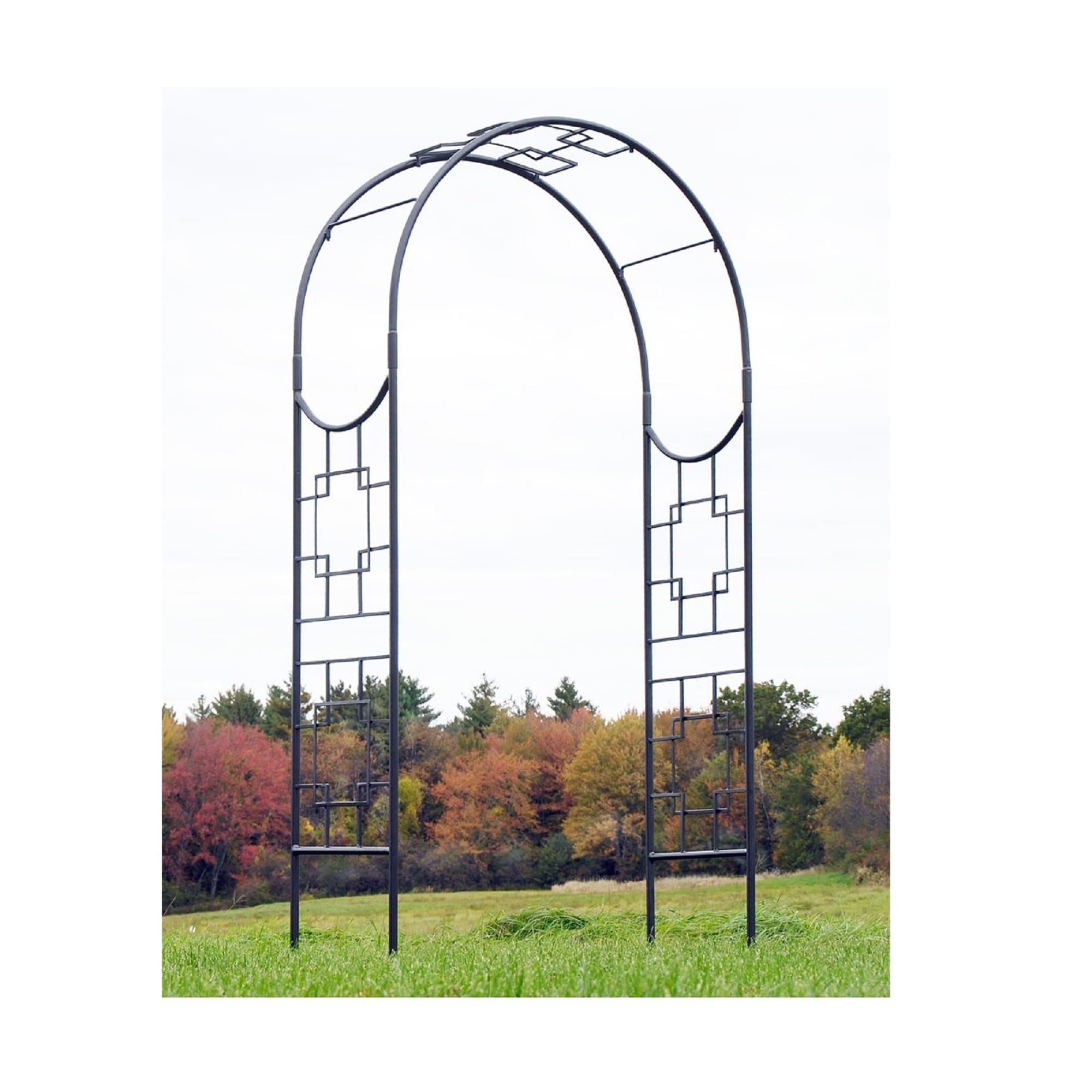 Paola Arbor