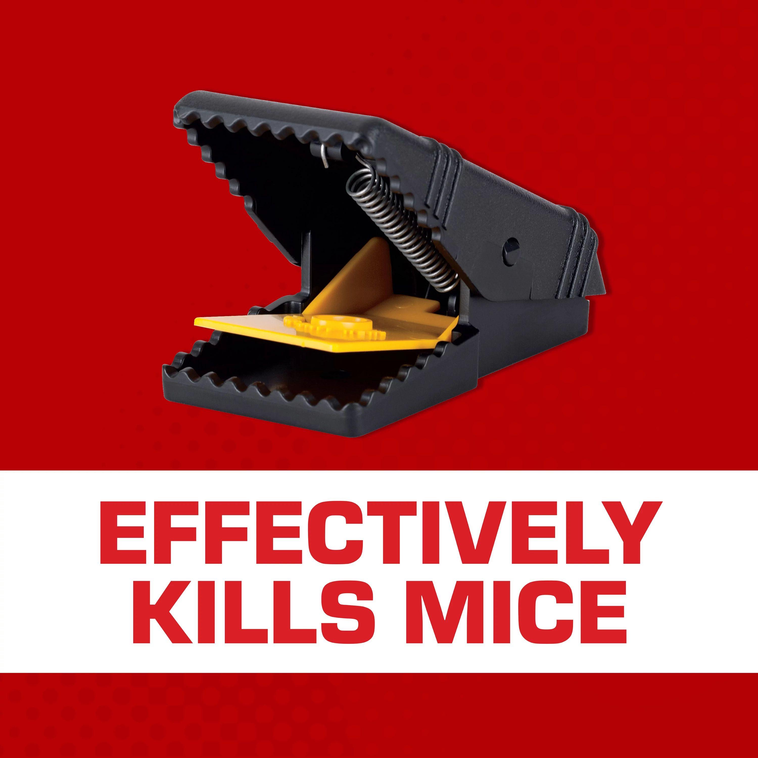(2 pack) Tomcat Mouse Snap Traps, Contains 2 Traps, No-Touch Disposal, Easy to Set