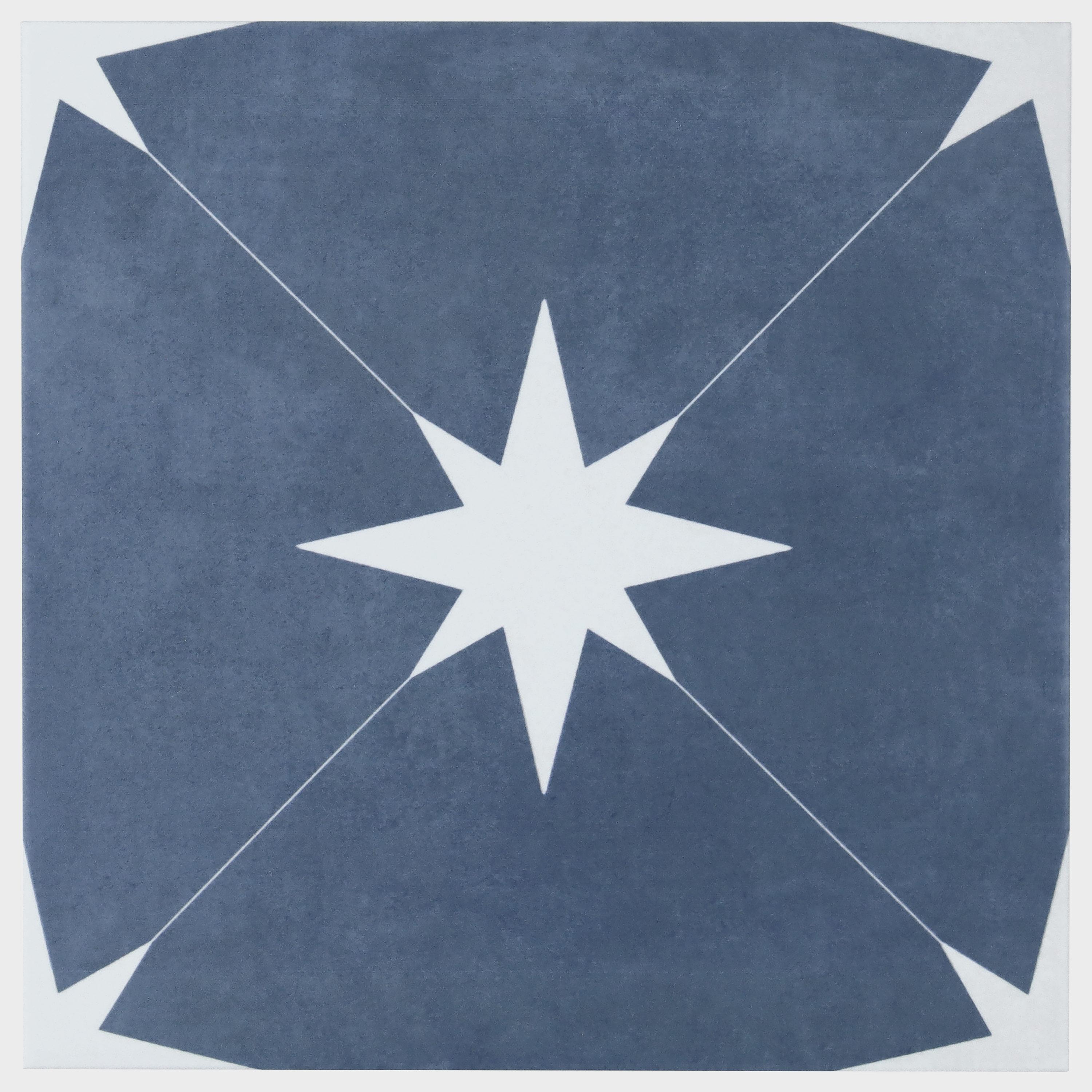 Polaris 9 in. x 9 in. Matte Porcelain Floor and Wall Tile (10.76 Sq. Ft. / Case)