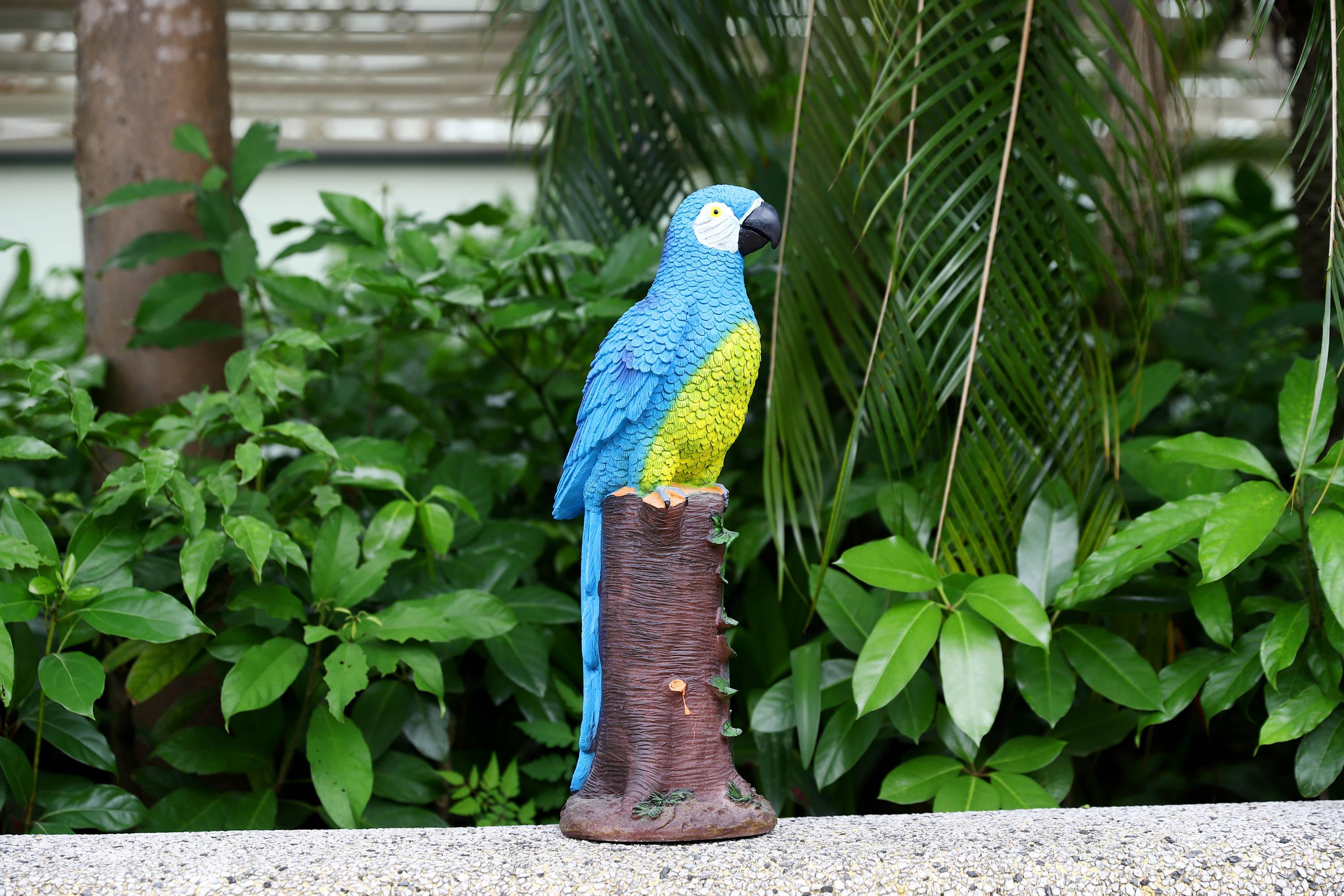 Techko Blue Parrot Statue with Solar Spotlight