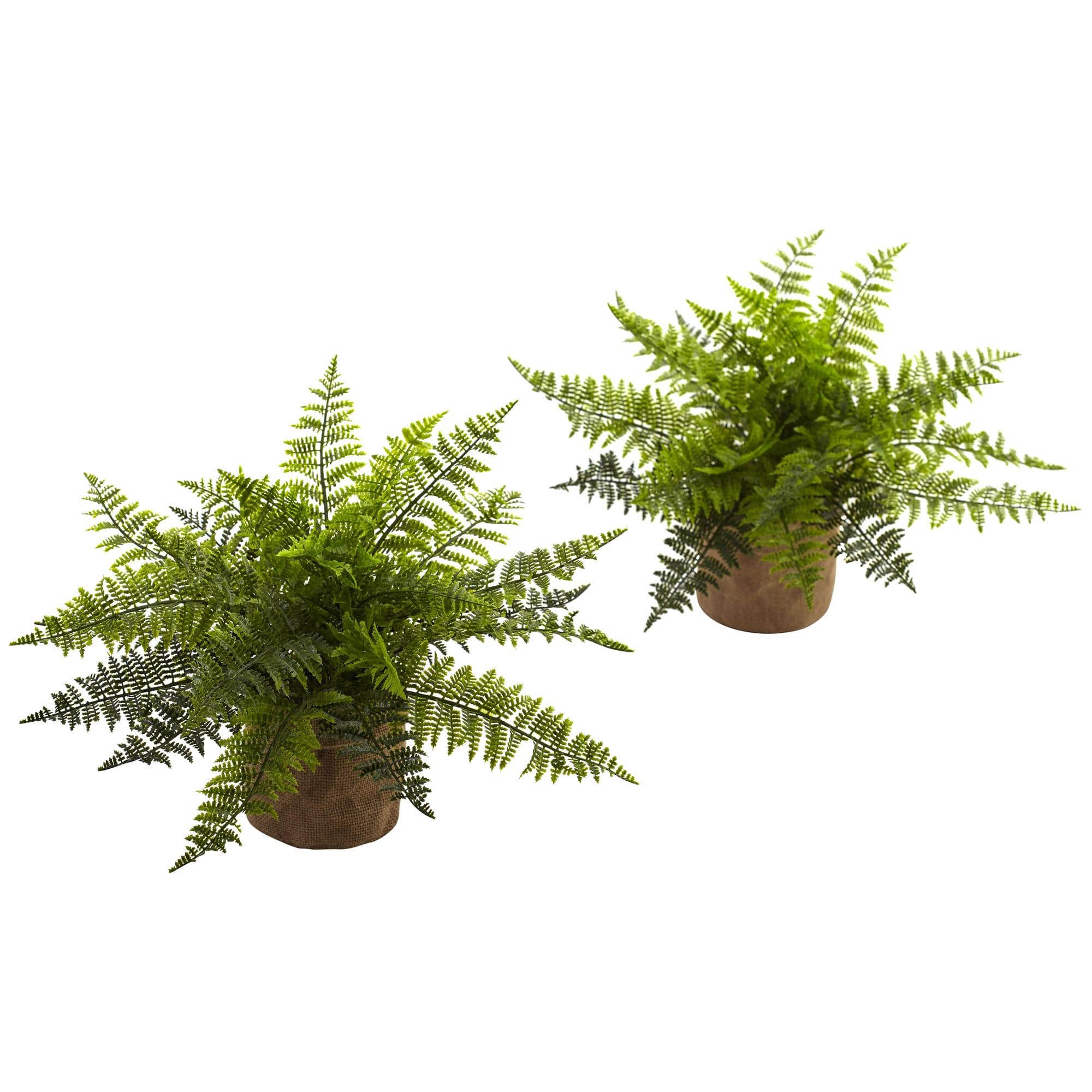 Set of 2 Green Faux Ferns in Burlap Pots