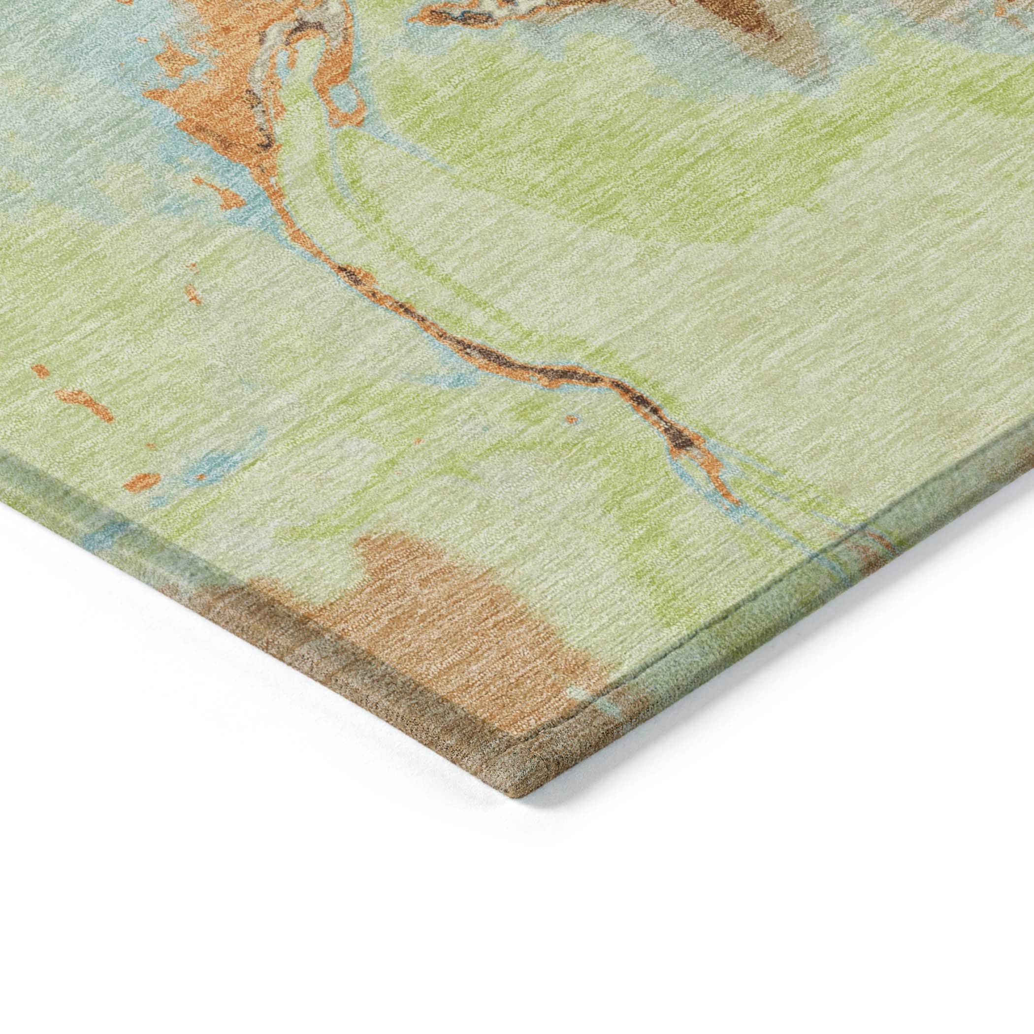 Machine Washable Indoor/Outdoor Chayden ACN1005 Aloe Rug