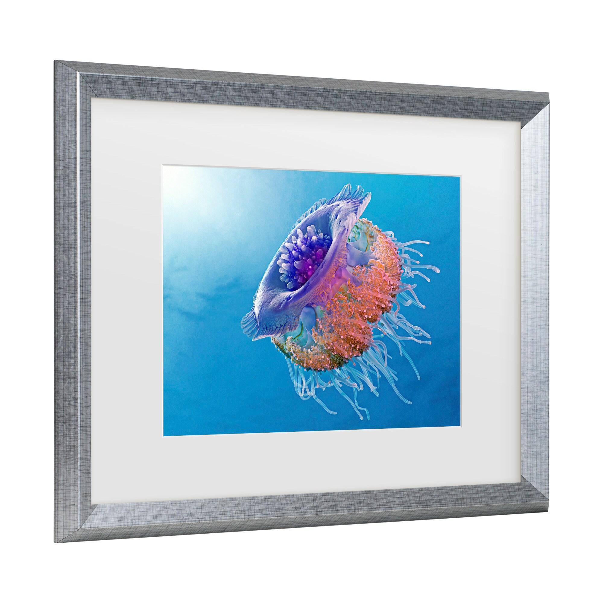 Trademark Fine Art - Henry Jager Crown Jellyfish Matted Framed Art - 11x14