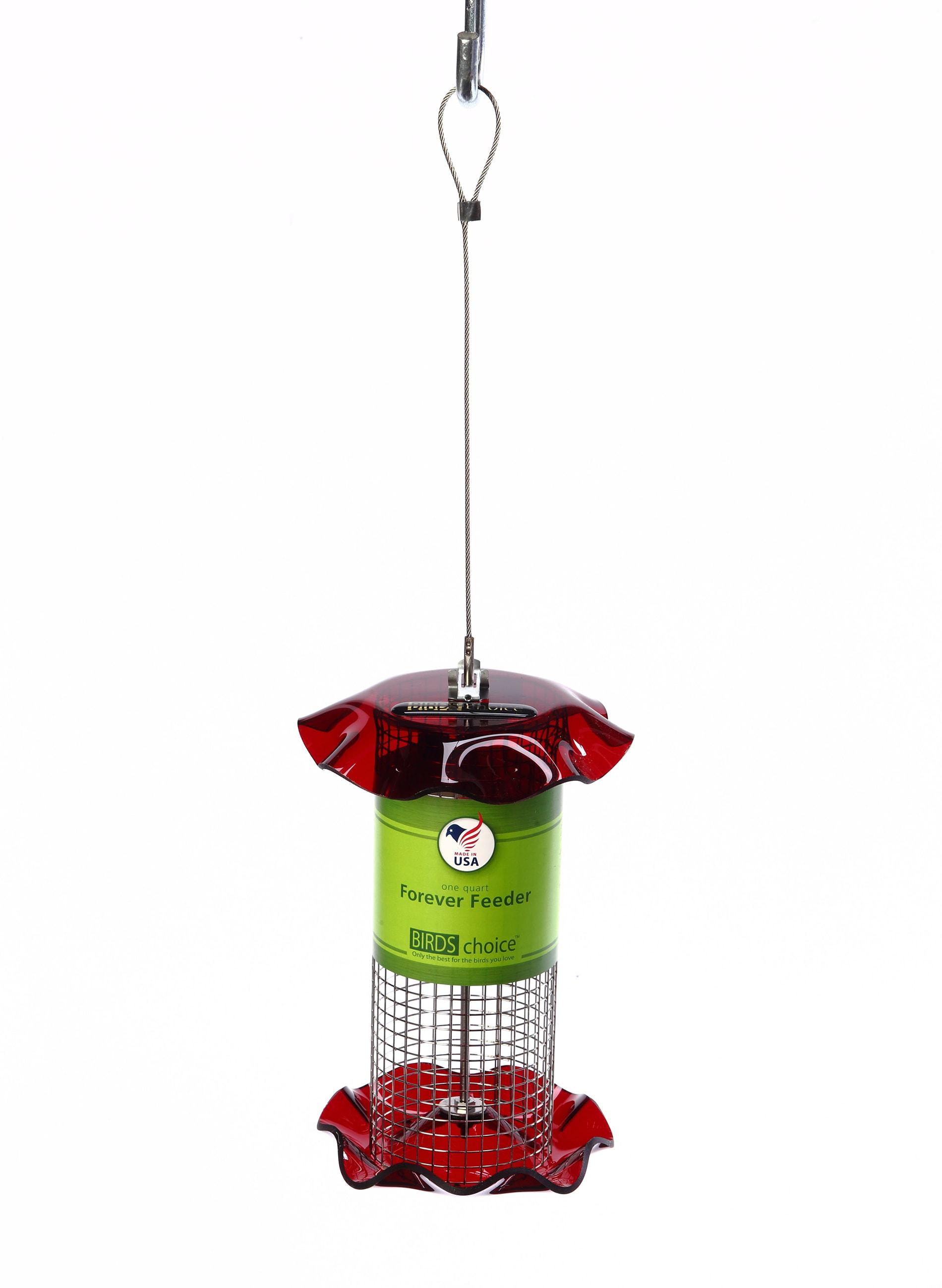 Birds Choice Small Sunflower Seed Forever Feeder with Stainless Steel Screen