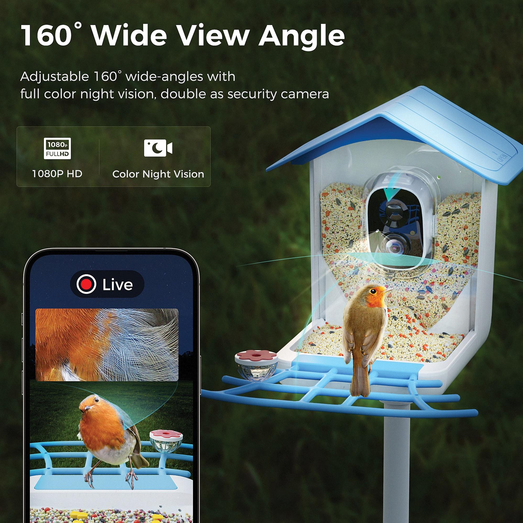 PerchMe™ Smart Bird Feeder with Camera (Sky Blue Canopy)