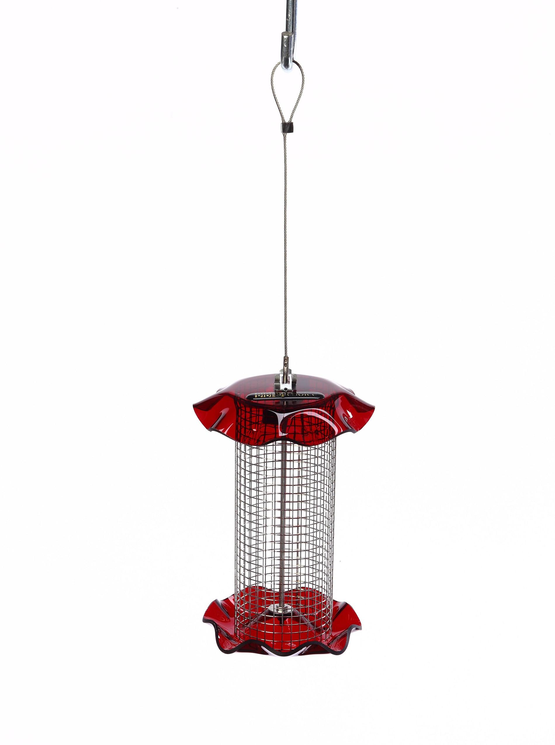 Birds Choice Small Sunflower Seed Forever Feeder with Stainless Steel Screen