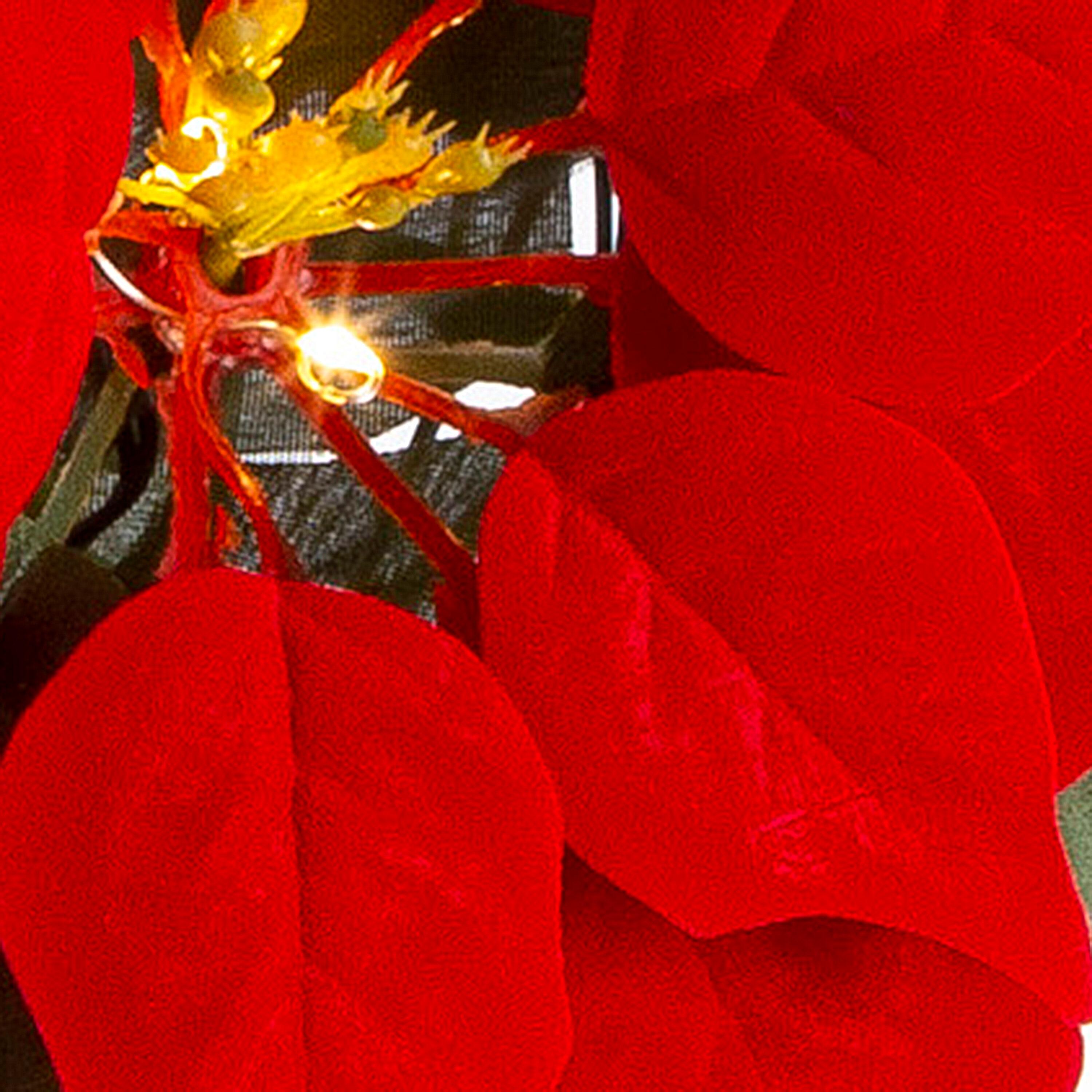 Gerson 24-Inch Diameter Battery Operated Lighted Poinsettia Wreath with 45 Warm White Micro LED Lights