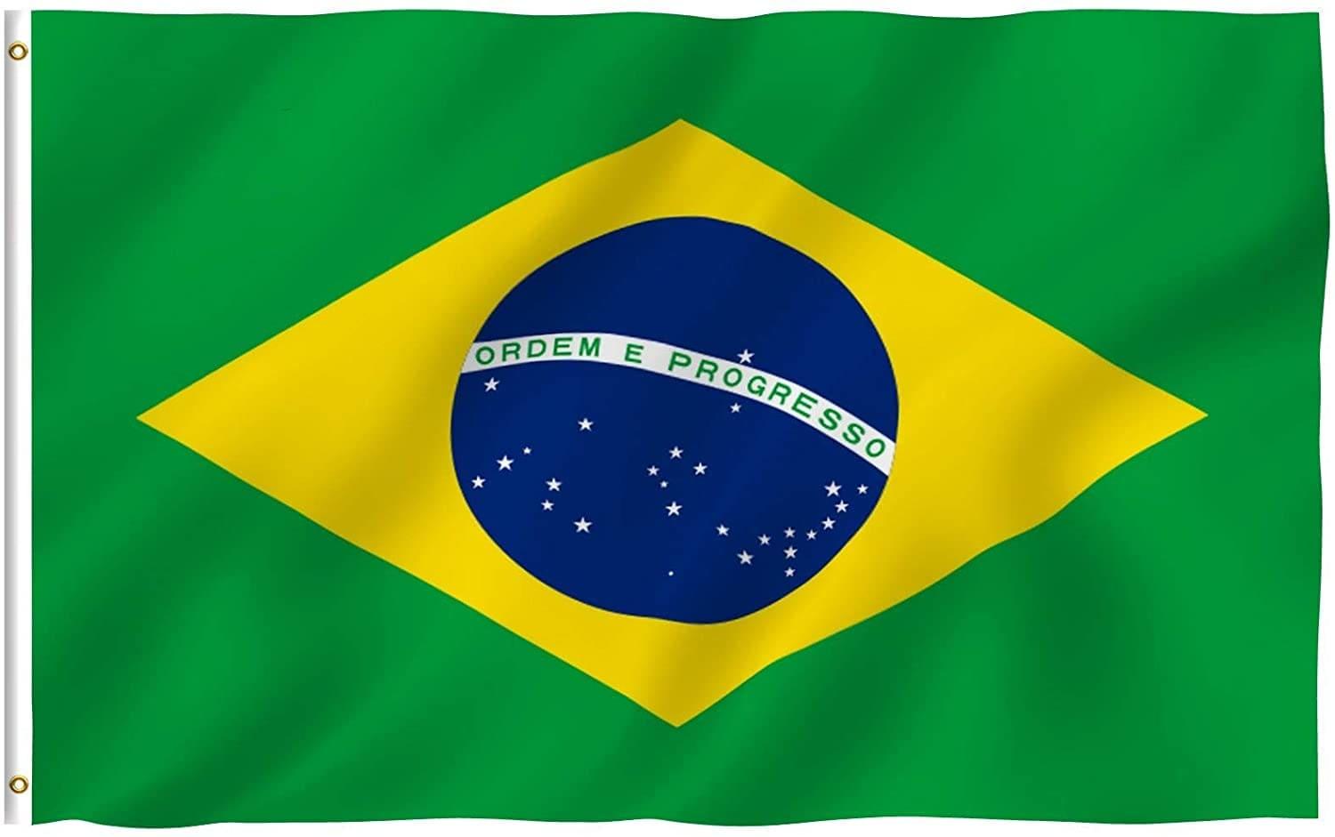 Fly Breeze Series Brazil Polyester 36 x 60 in. House Flag