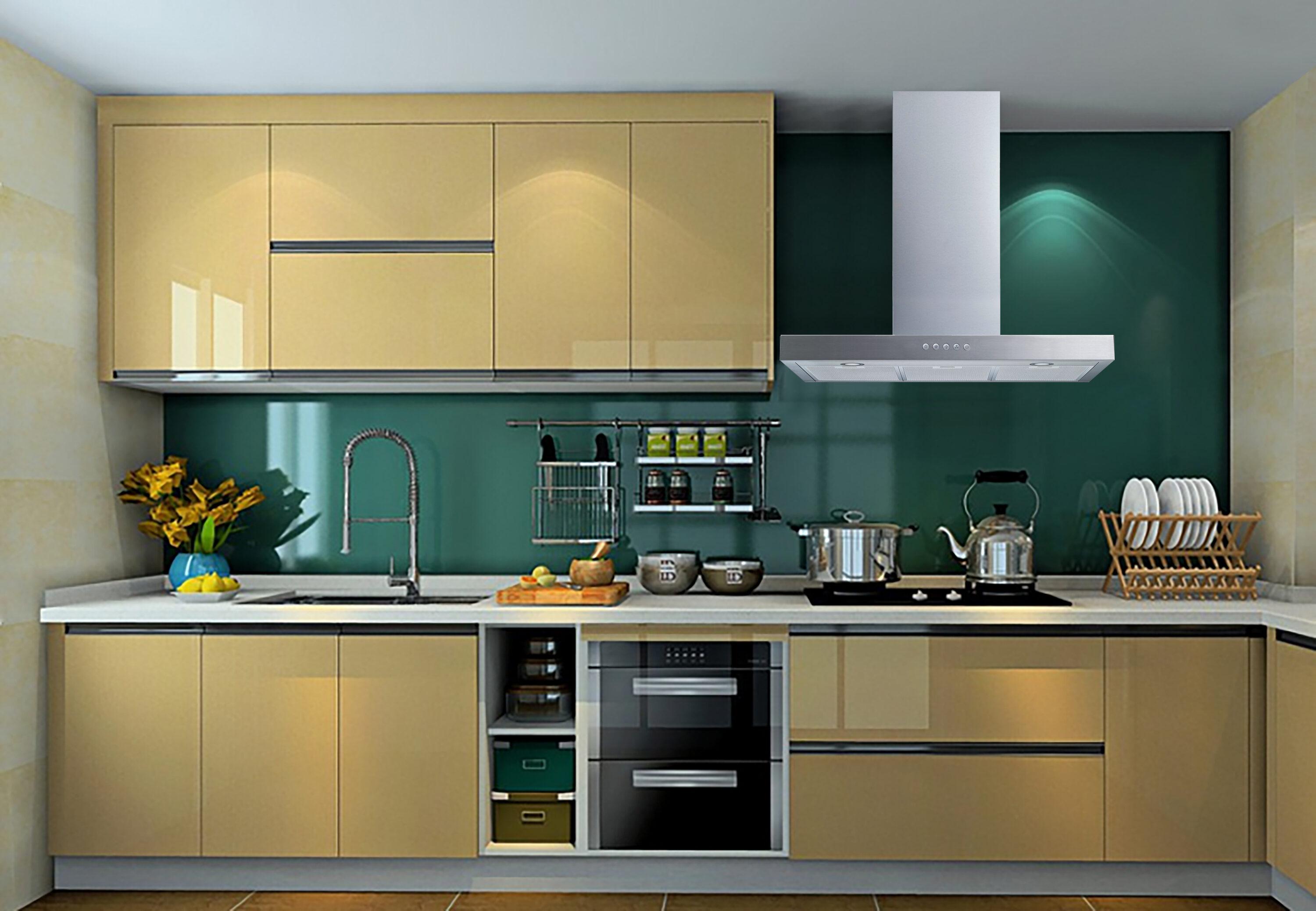 30" 500 CFM Convertible Wall Mount Range Hood in Stainless Steel