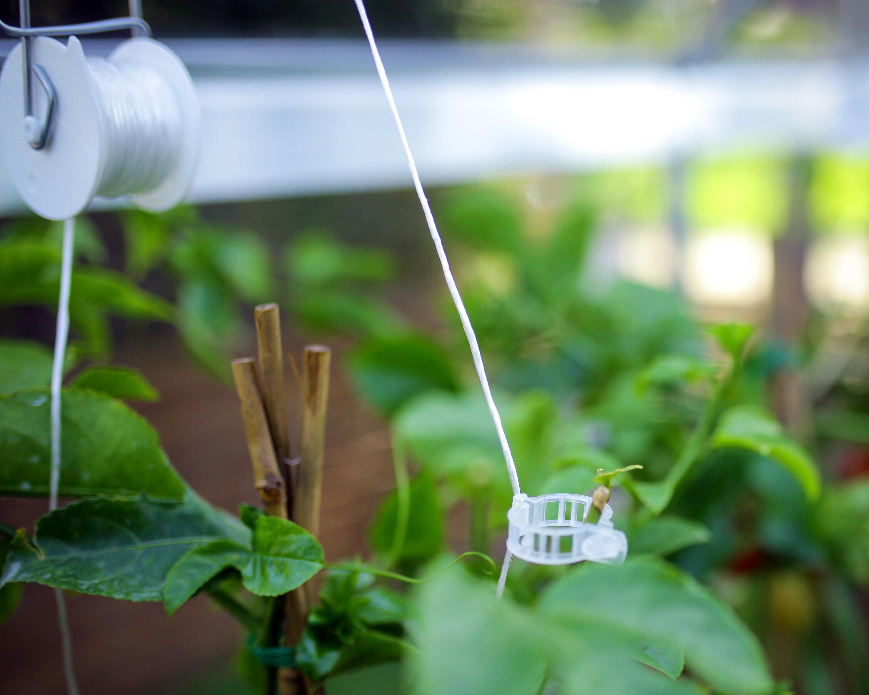 Canopia Palram - Canopia Greenhouse Trellising Kit