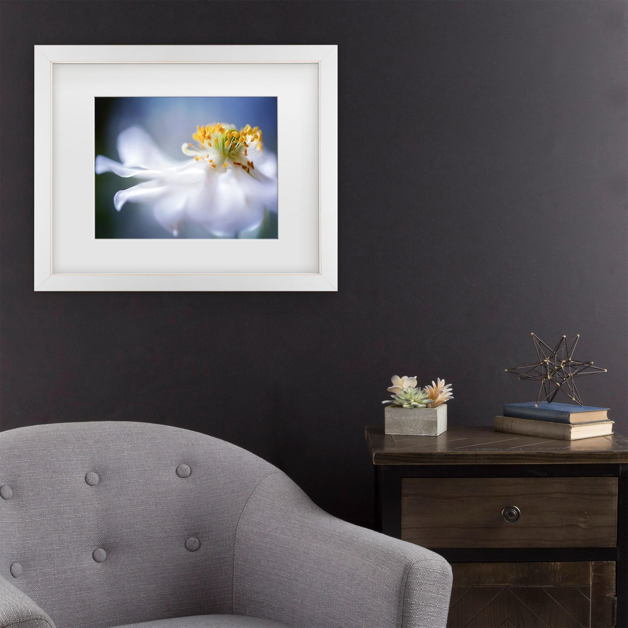 Trademark Fine Art - Mandy Disher Anemone 1 Matted Framed Art - 16x20