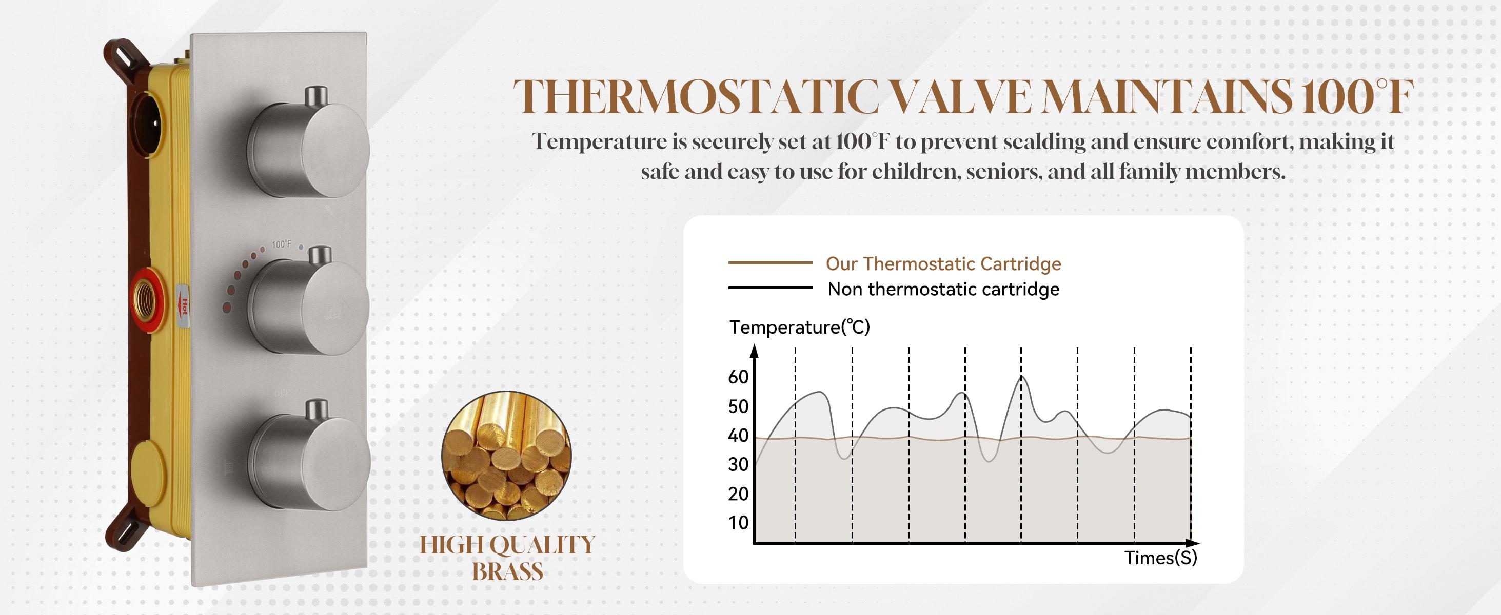 Revitalize 12 Inch Luxury Thermostatic Complete Shower System with Rough-in Valve