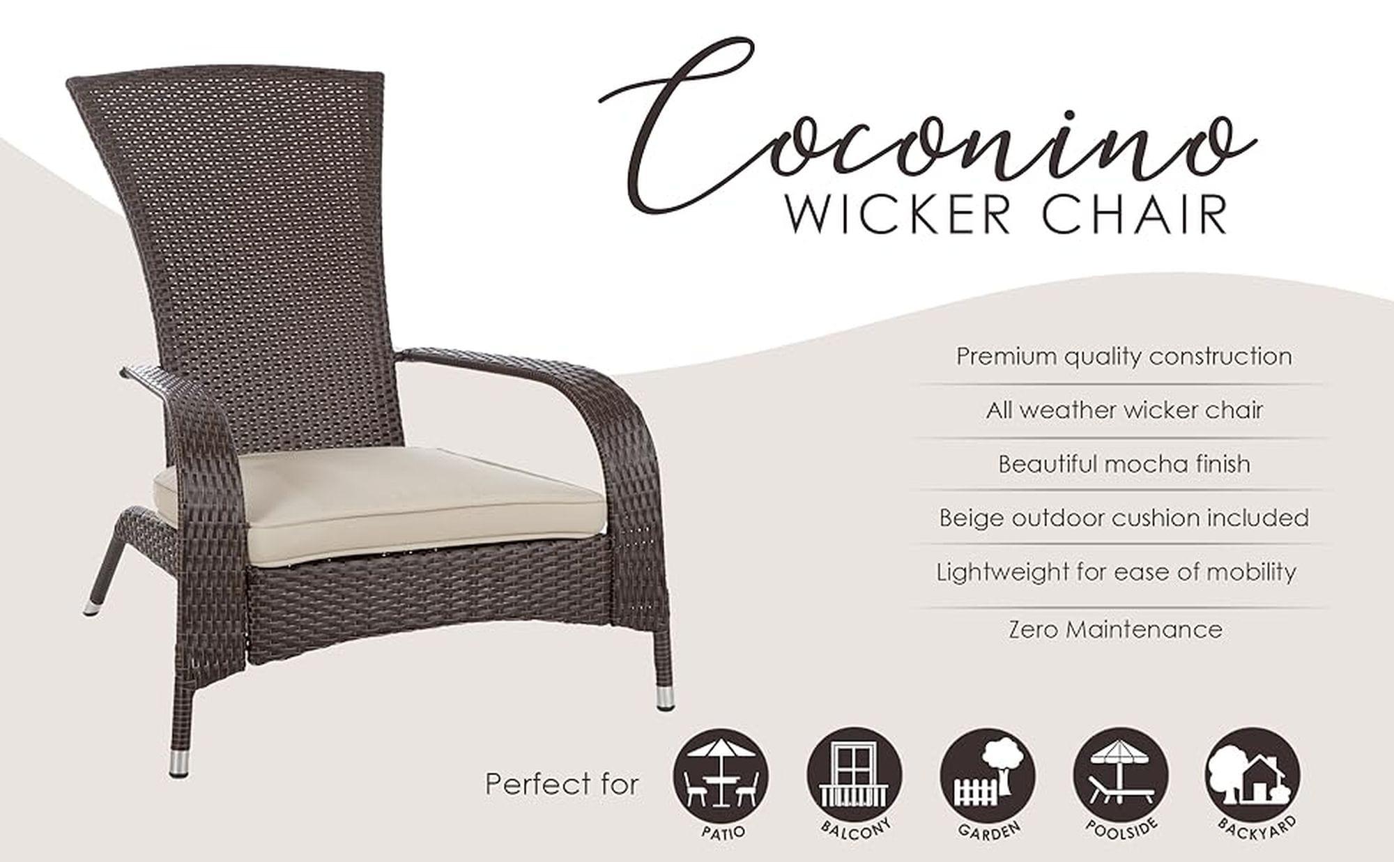 WellTraveled  Coconino Wicker Chair