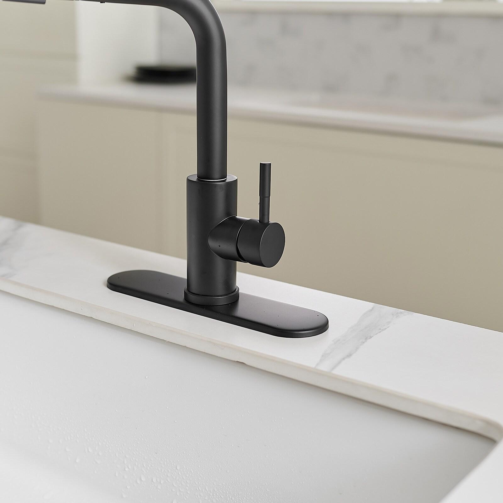 VIBRANTBATH Pull Out Kitchen Faucet