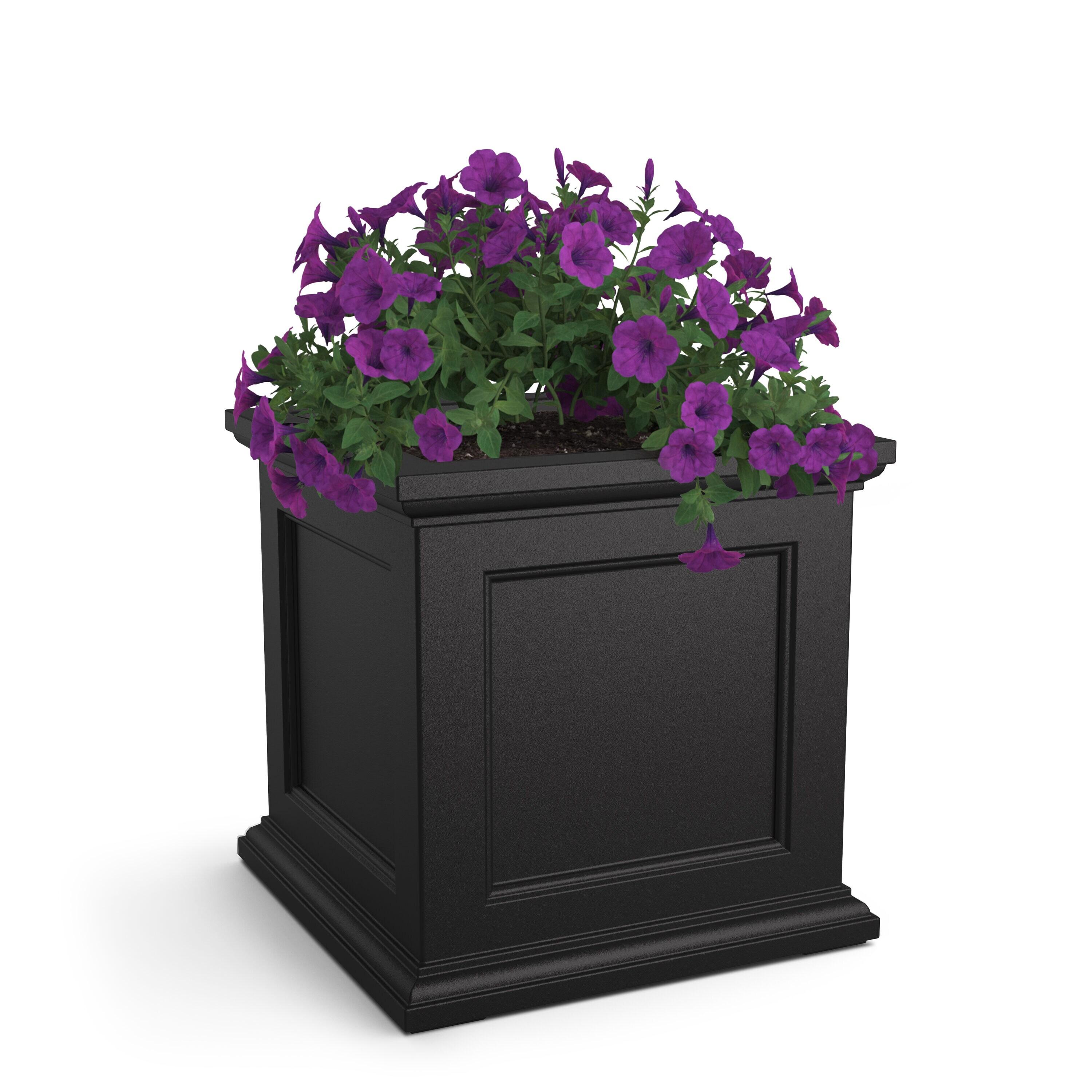 Anastasiya Planter Box