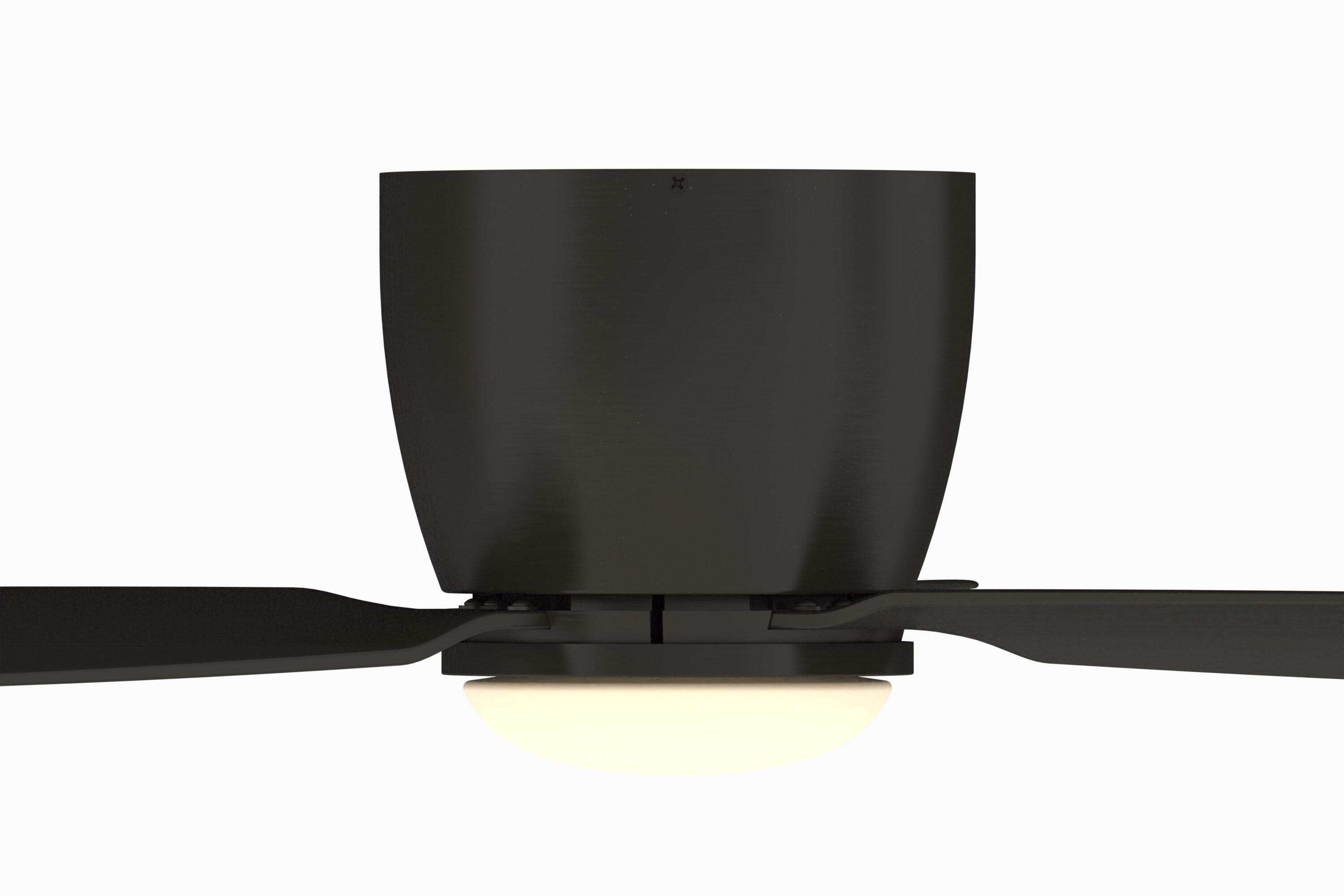 Fanimation Embrace 52'' Ceiling Fan with LED Lights