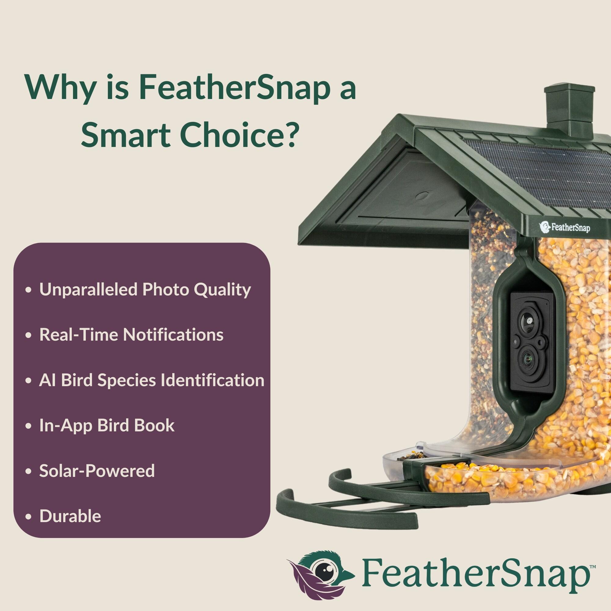 Feathersnap Scout WiFi Solar-Powered Smart Bird Feeder