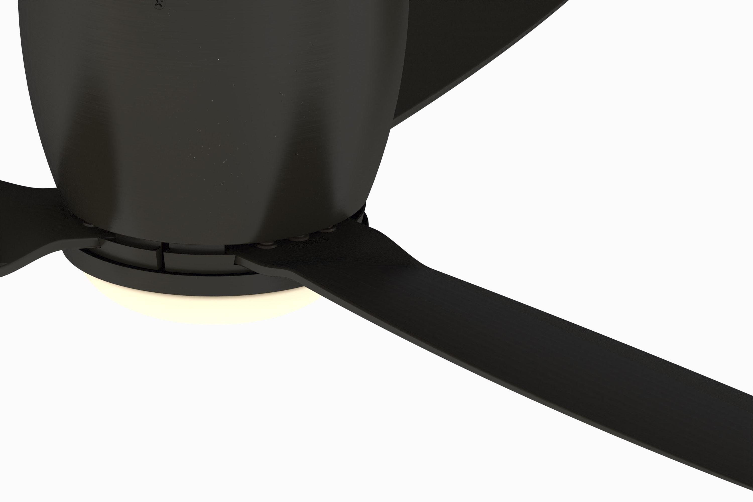 Fanimation Embrace 52'' Ceiling Fan with LED Lights