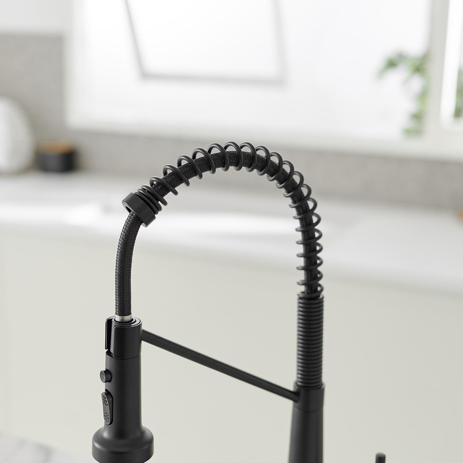 Single-Handle Pull-Down Sprayer 2 Spray High Arc Kitchen Faucet With Deck Plate