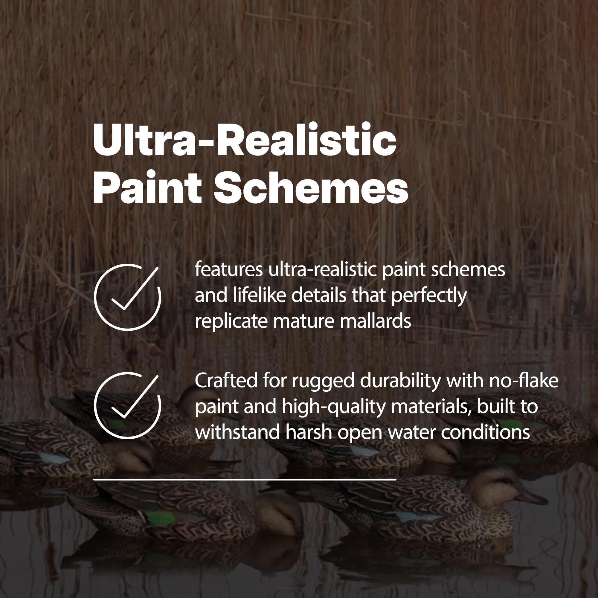 Open Box Avian X Early Season Mallard Duck Realistic Decoys, Multicolor, 6pk