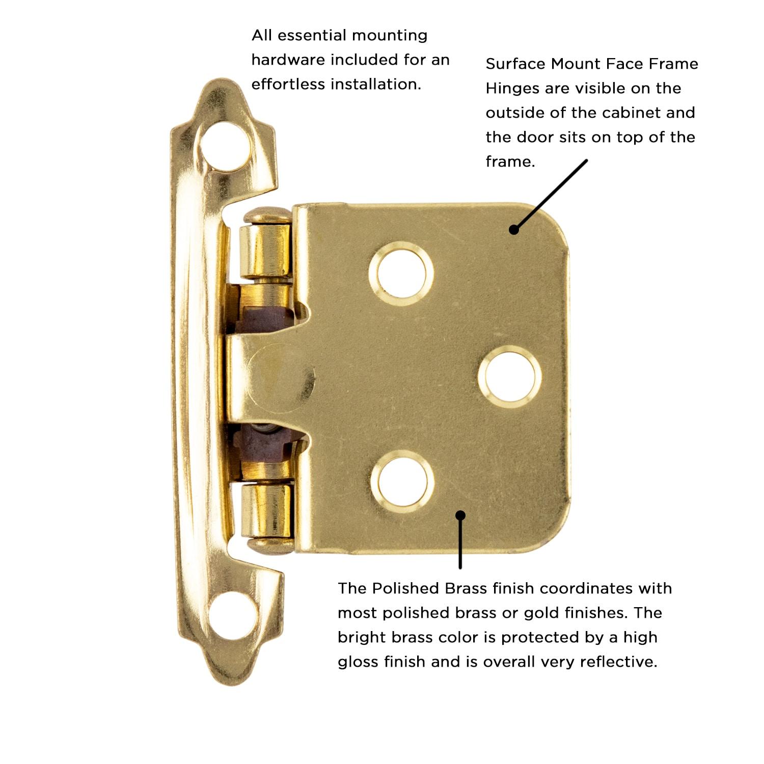 Polished Brass Self-Closing Flush Cabinet Hinges