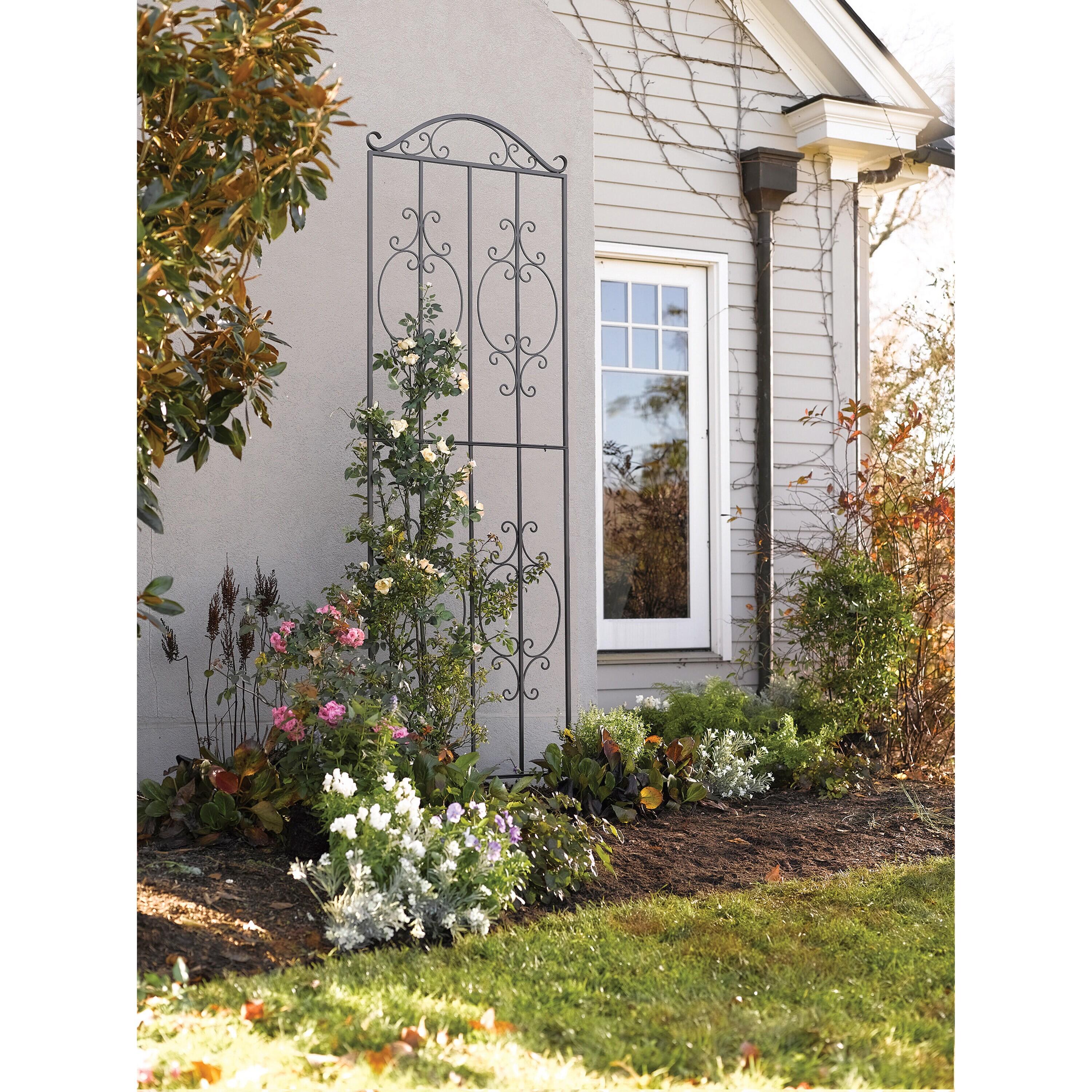 Plow & Hearth Montebello 109'' H x 32'' W Iron Gothic Trellis