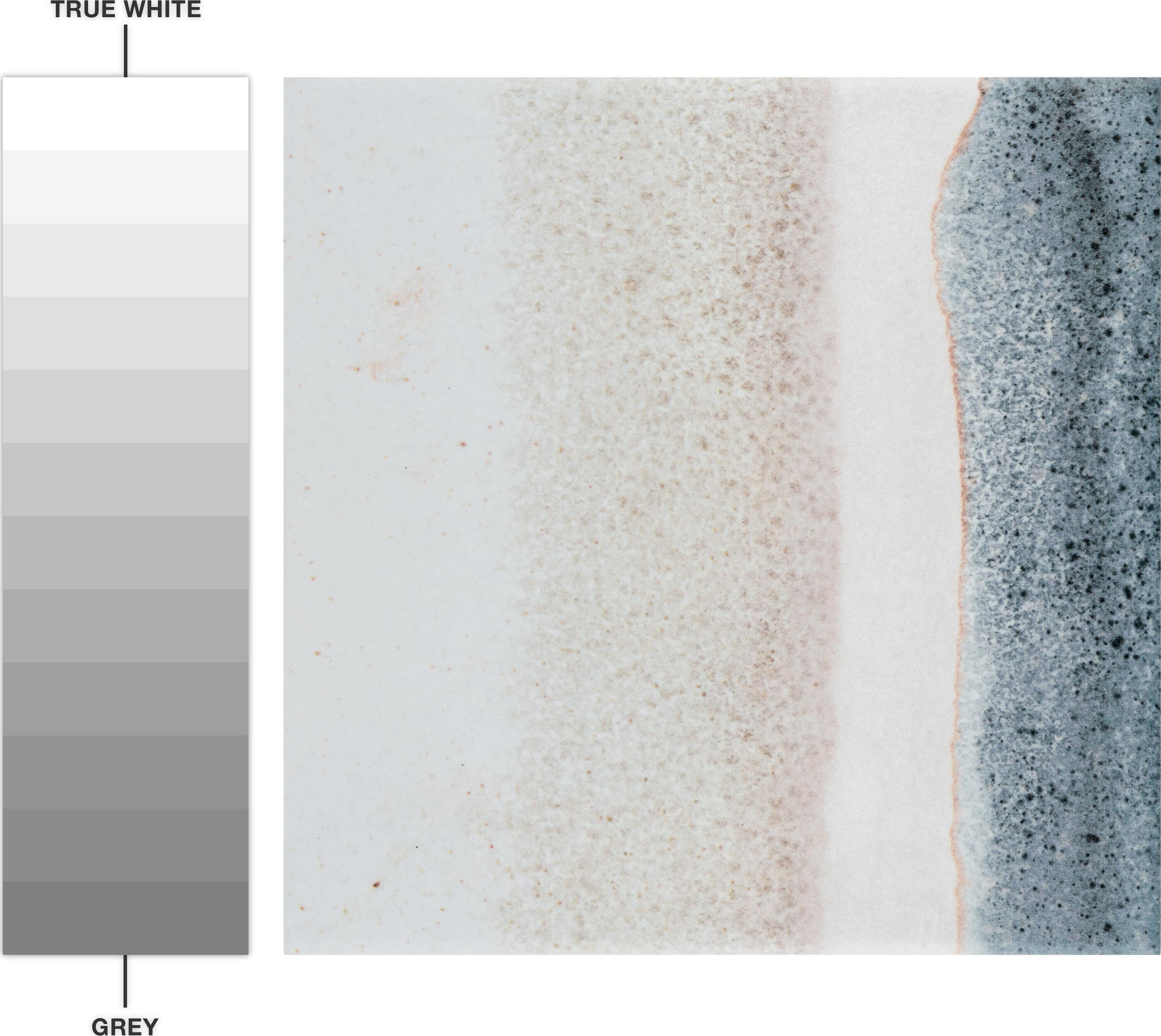 Matter Canvas 6" x 6" Porcelain Stone Look Floor and Wall Tile