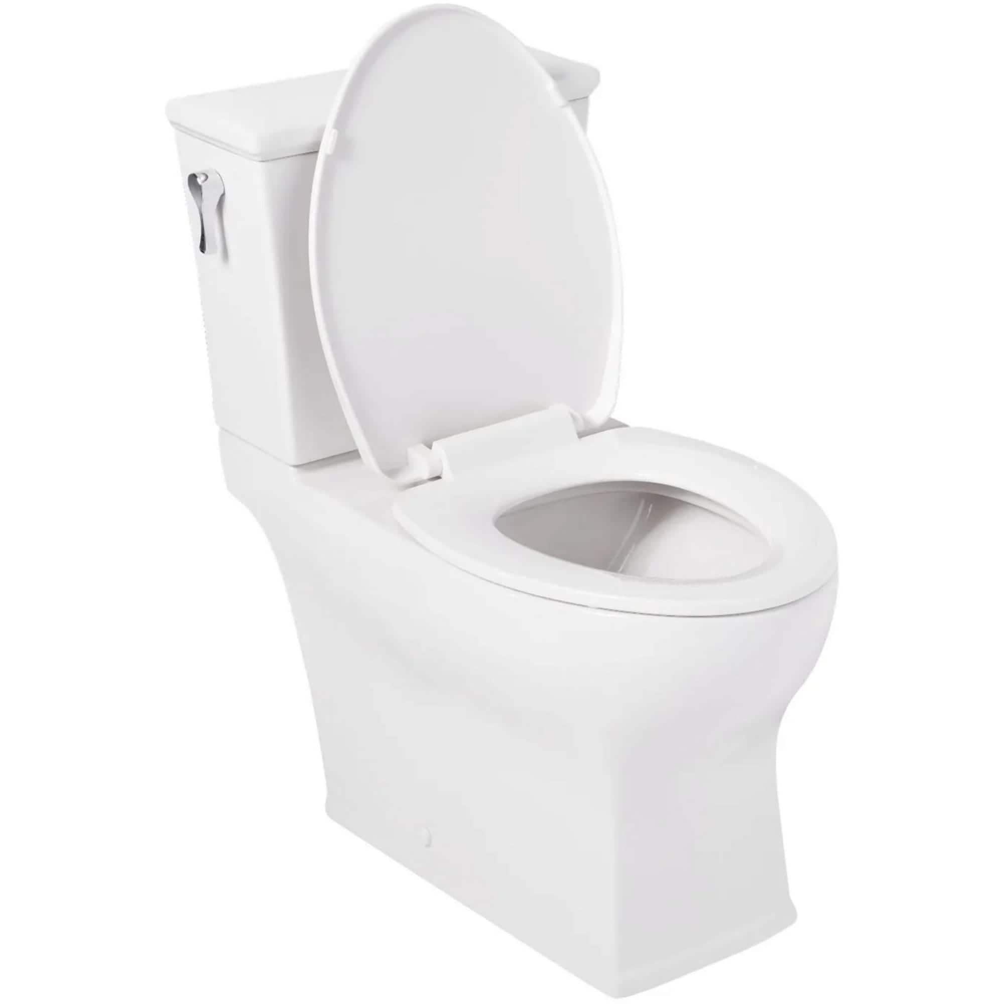 Carraway Two-Piece Skirted Elongated Toilet